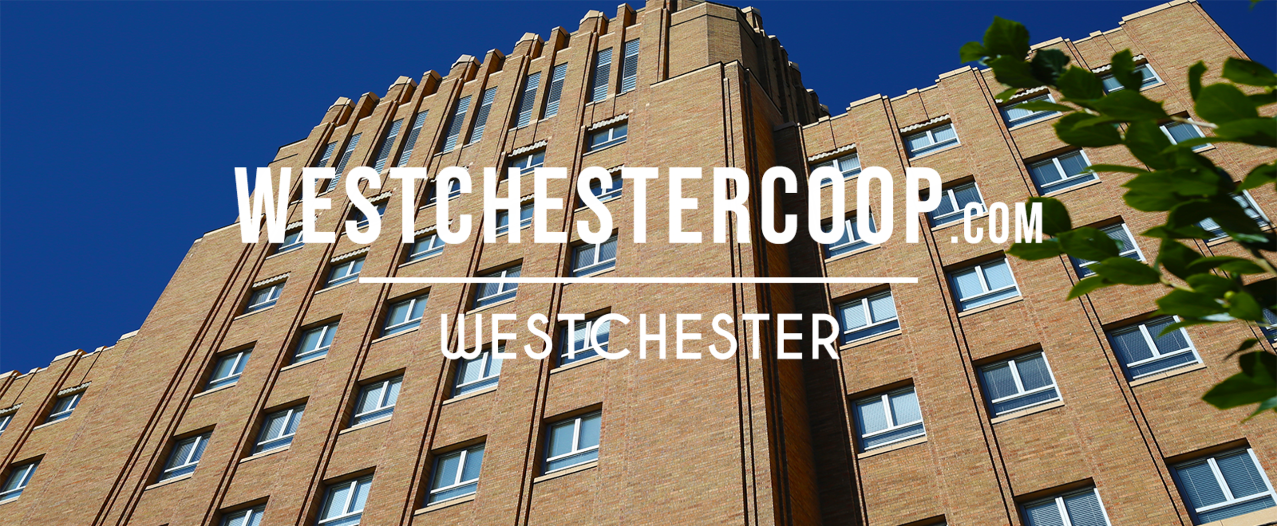 Westchester Co Ops For Sale