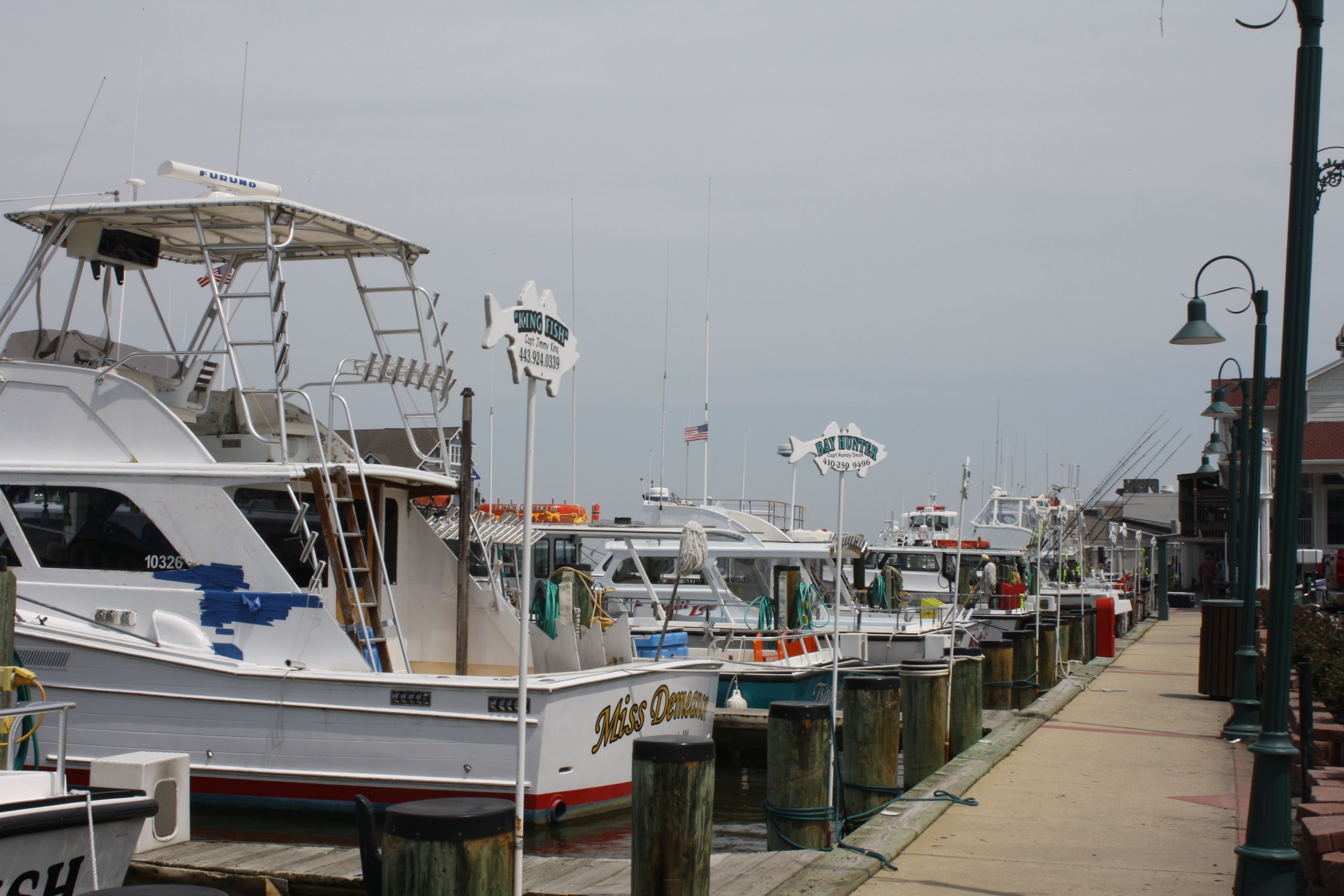 Chesapeake Beach Md Team Richardson Network - 
