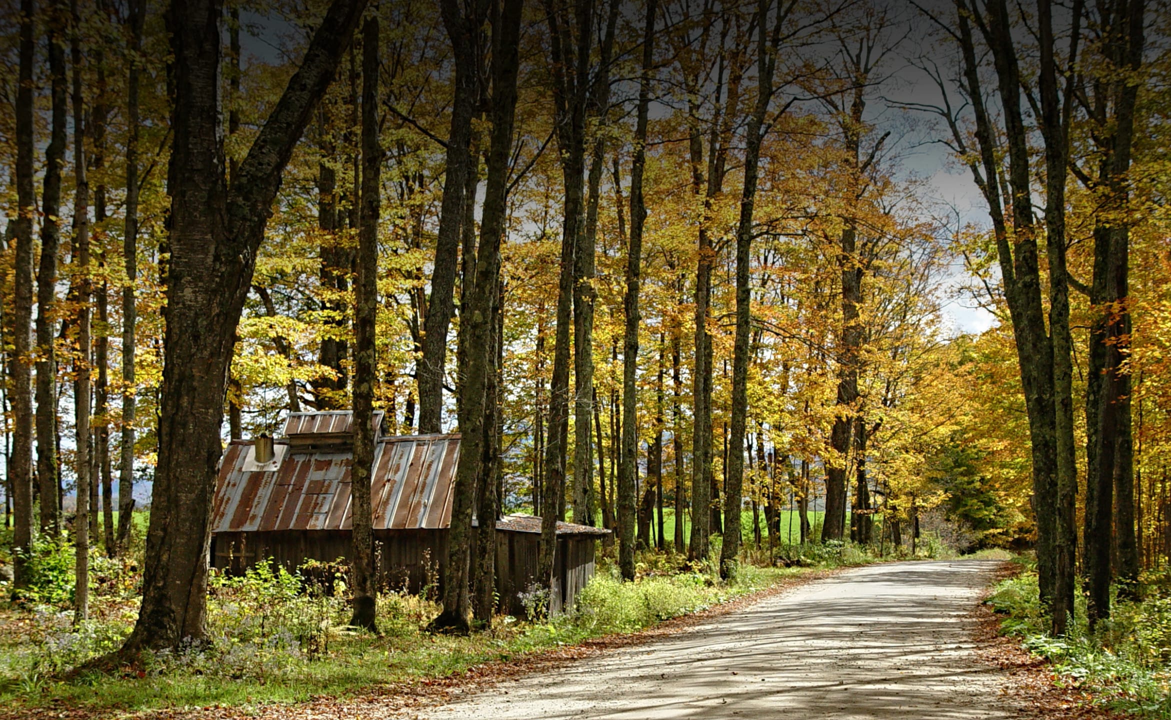 Homepage Highland Realty Inc