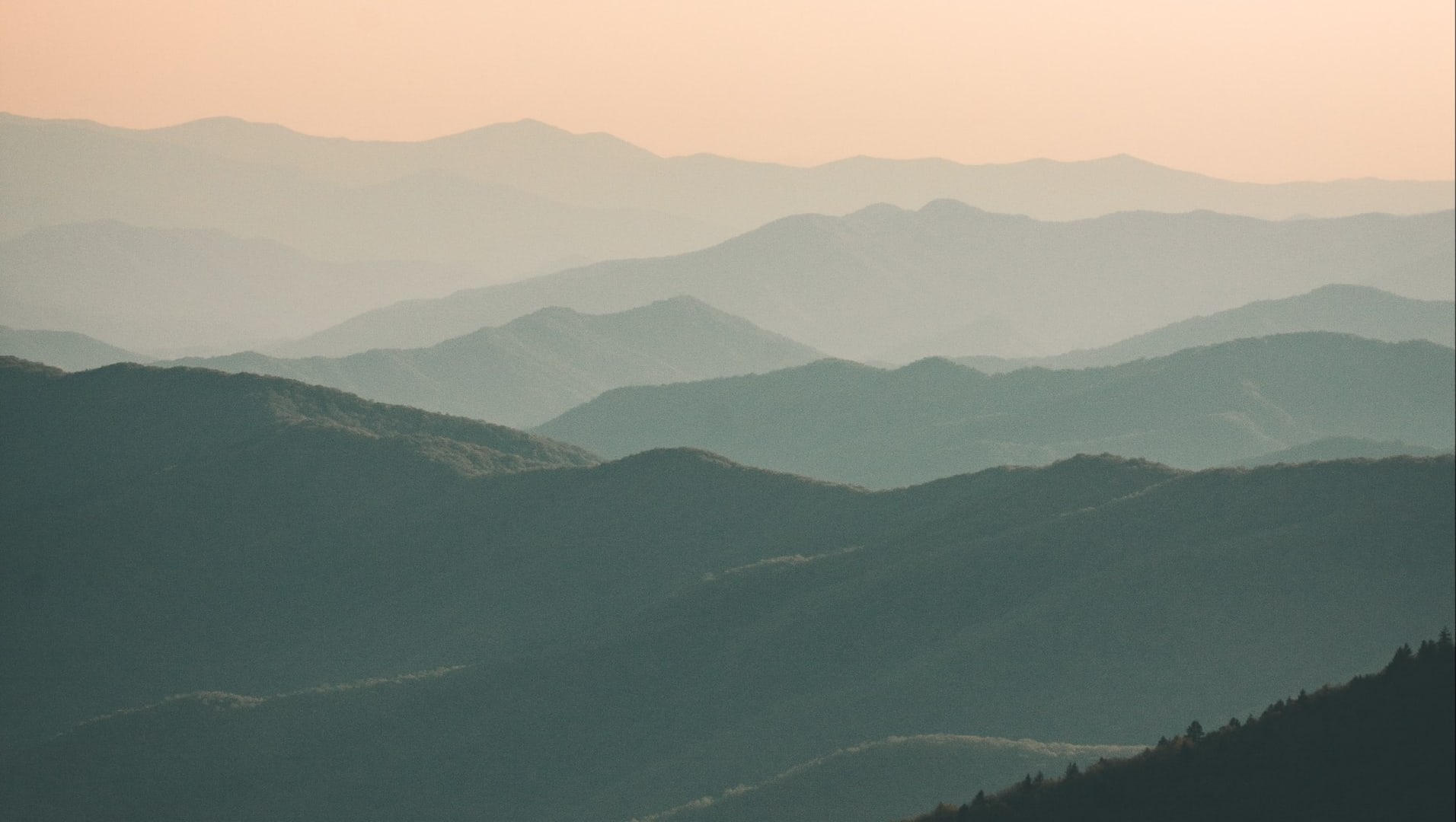 Whispering Pines Real Estate