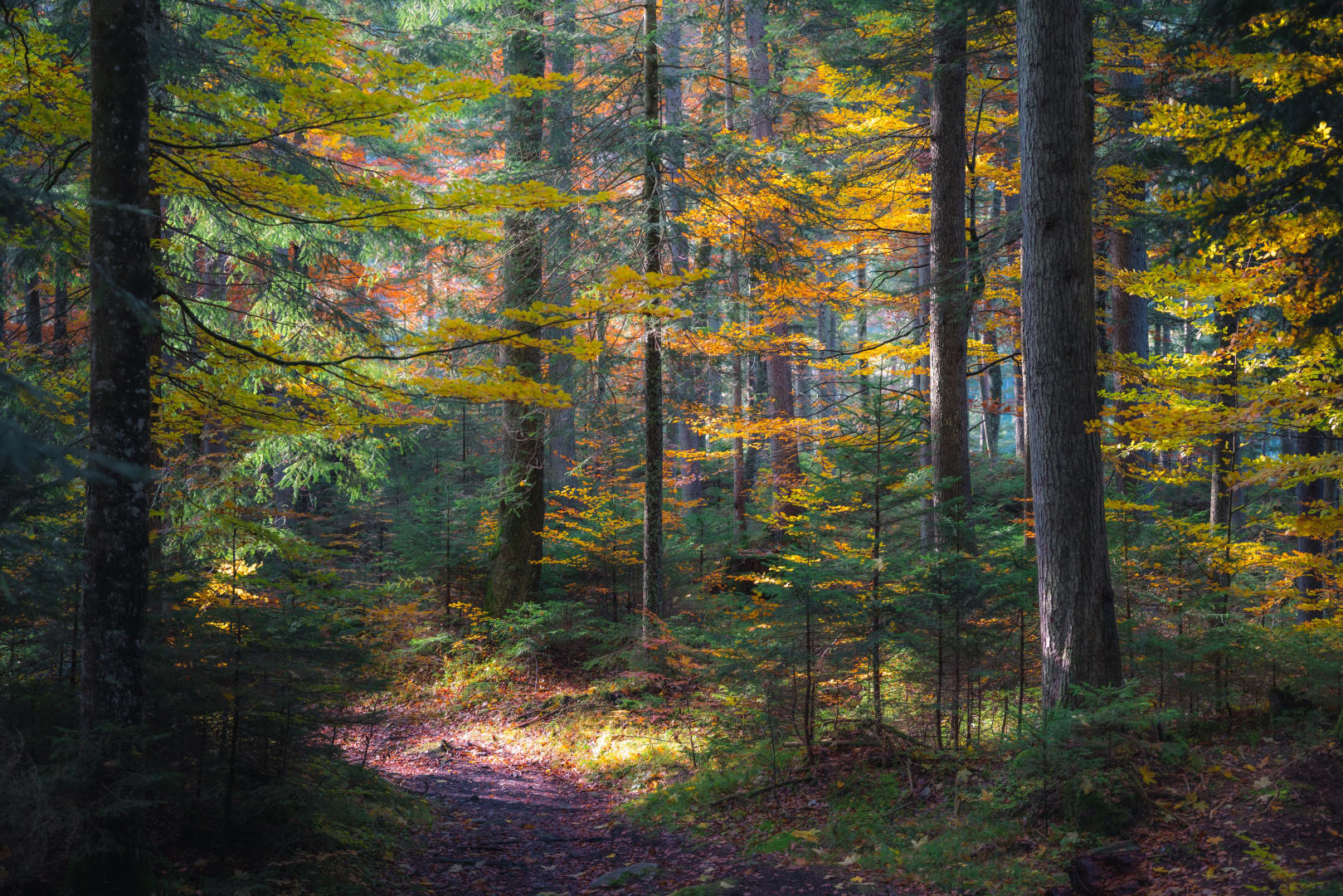 Whispering Pines Real Estate