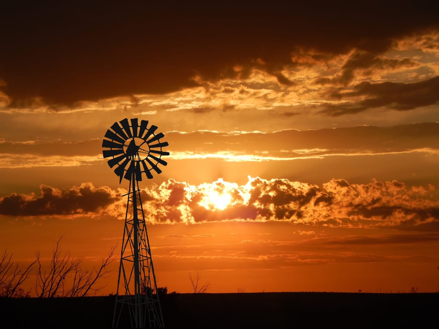 Farm & Ranch Listings