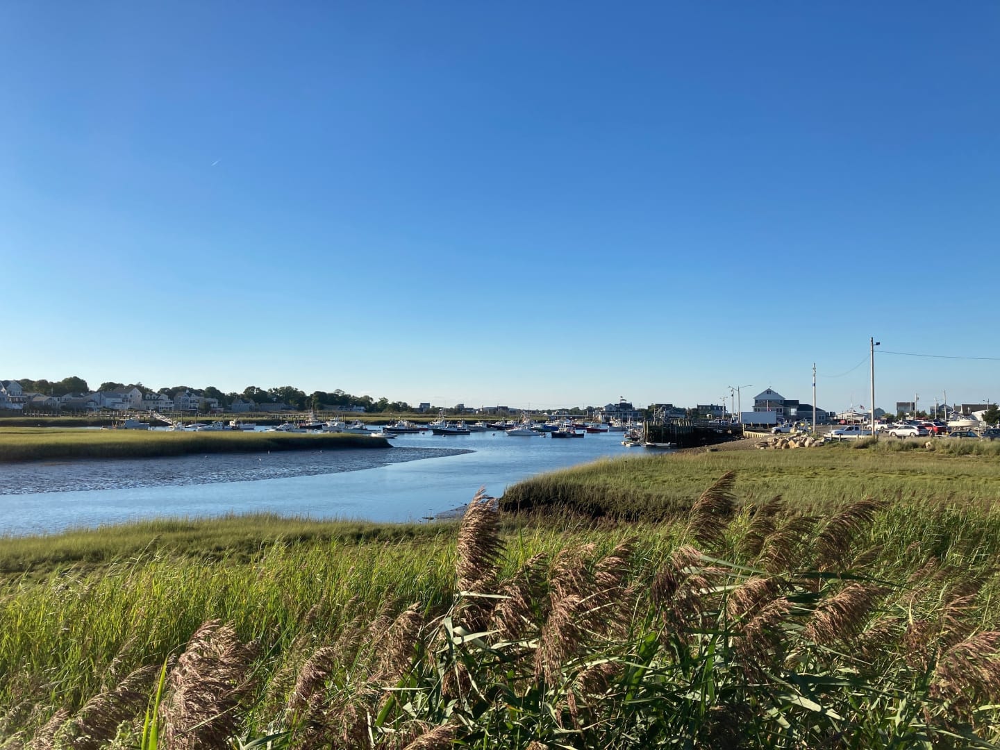 South Shore Area Guide
