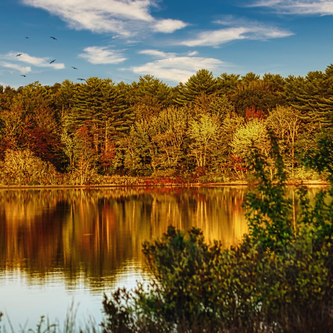 Greater Boston Area Guide