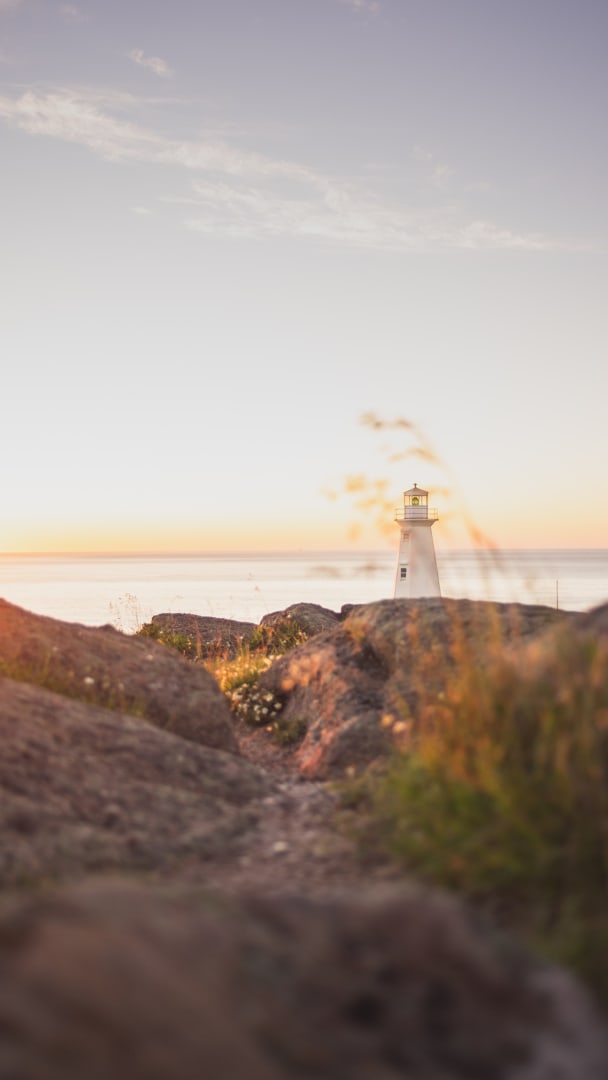Cape Cod Area Guide