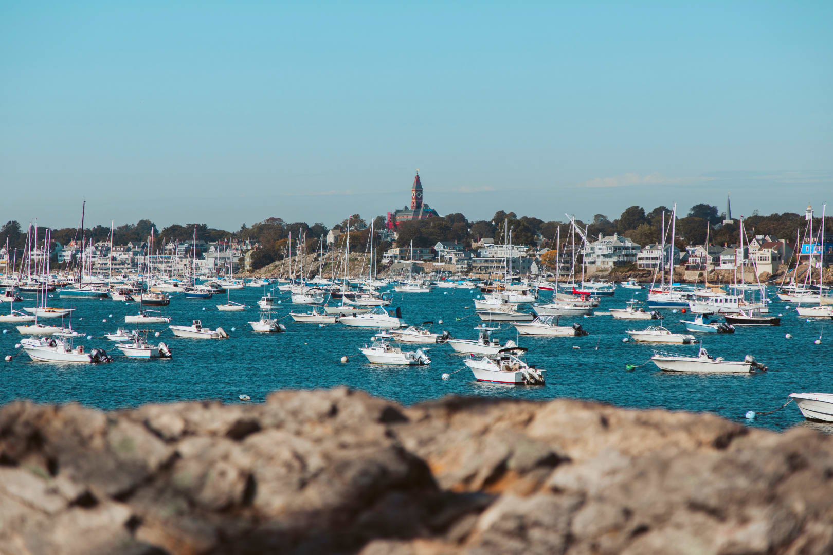 South Coast Area Guide