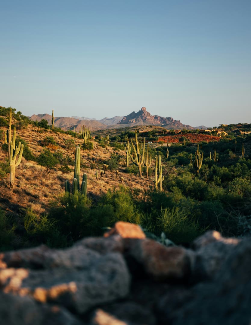 Fountain Hills Resources