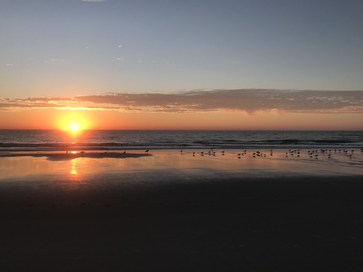 Diamond Shores Realty