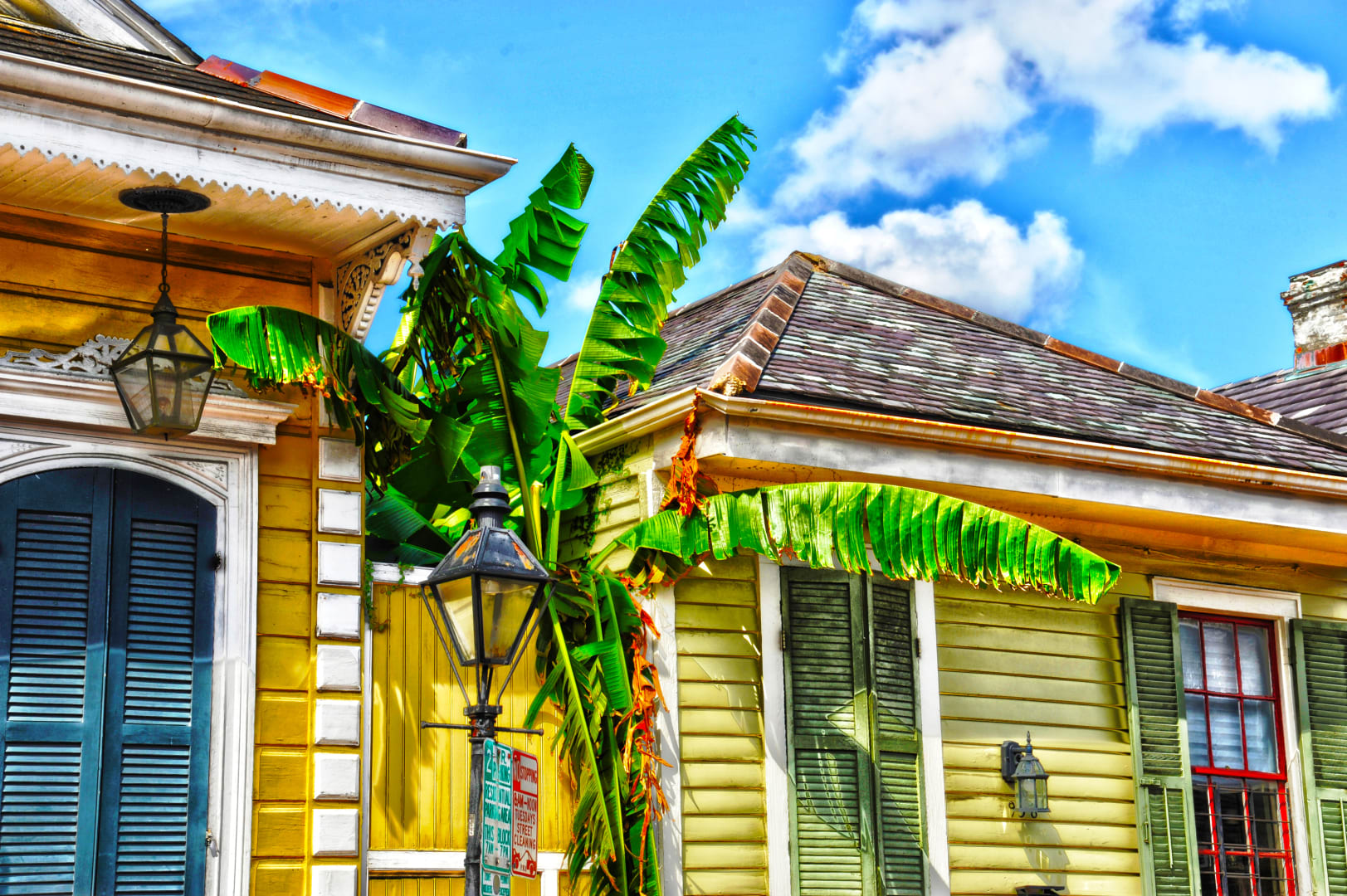 Nola Real Estate