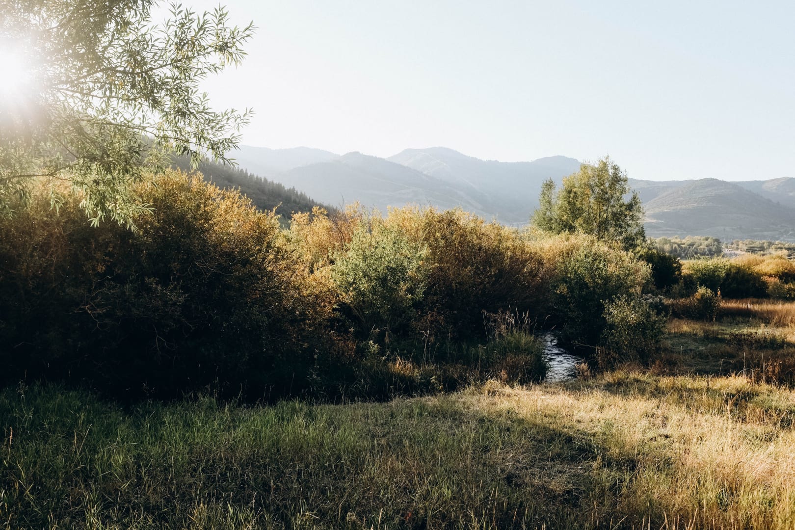 Park City's Newest Listings