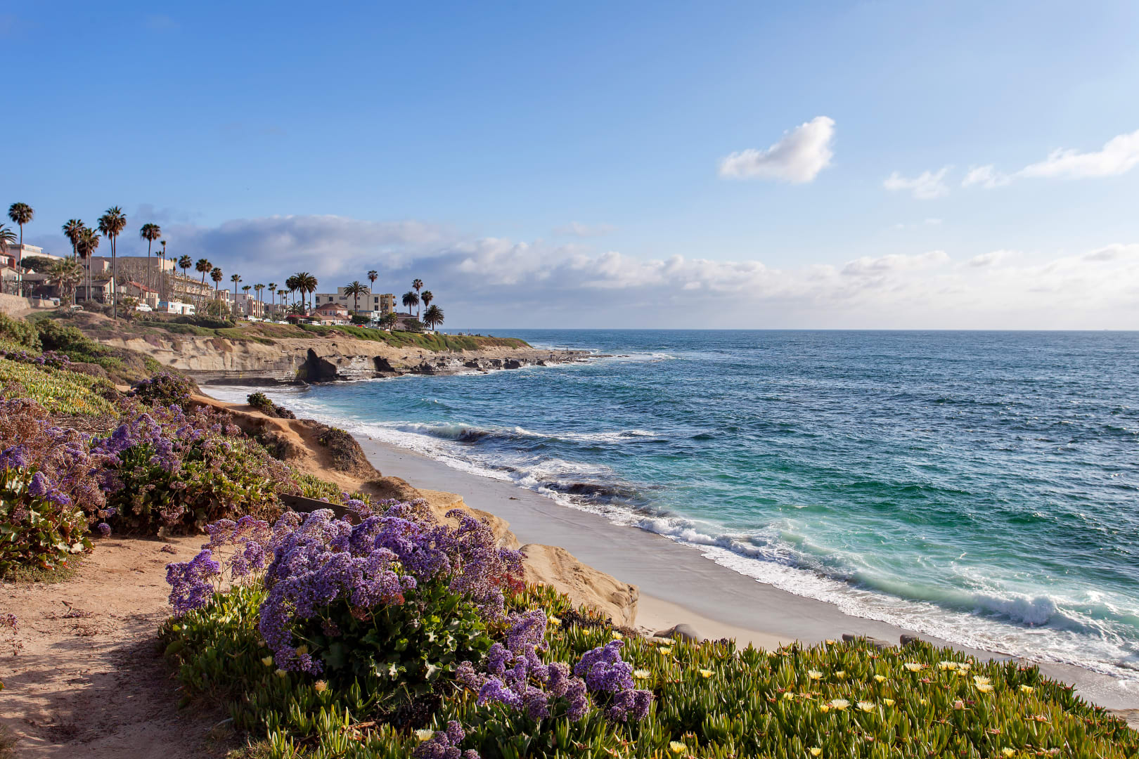 Blue Star Realty West