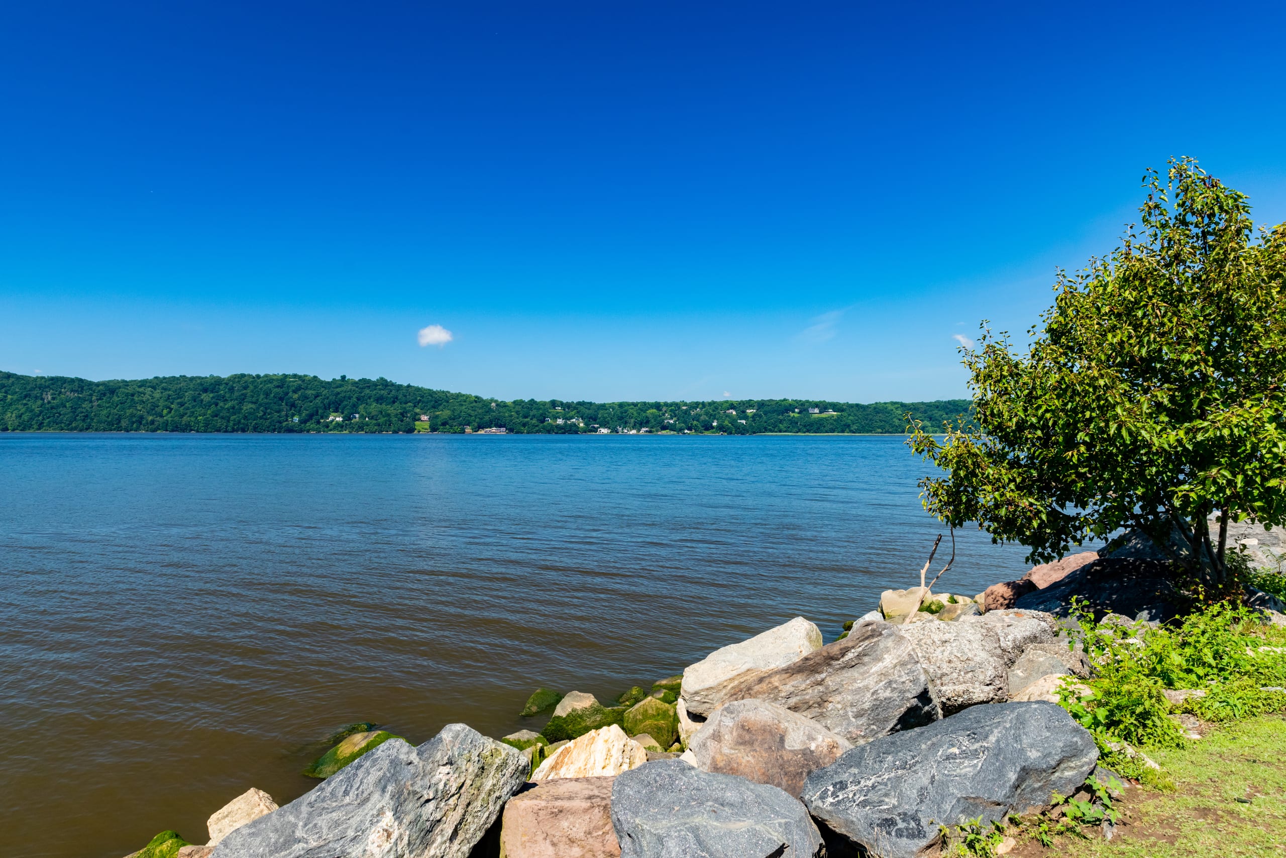 Debra Goodwin | The Goodwin Team inception-app-prod/M2JiYjg3NTYtZGMxYS00ZTFmLThiMDgtZDM3OGEwN2YzMDE4/content/2024/04/768091d7e3097bd0fae319049138c20d4b99b471.jpg