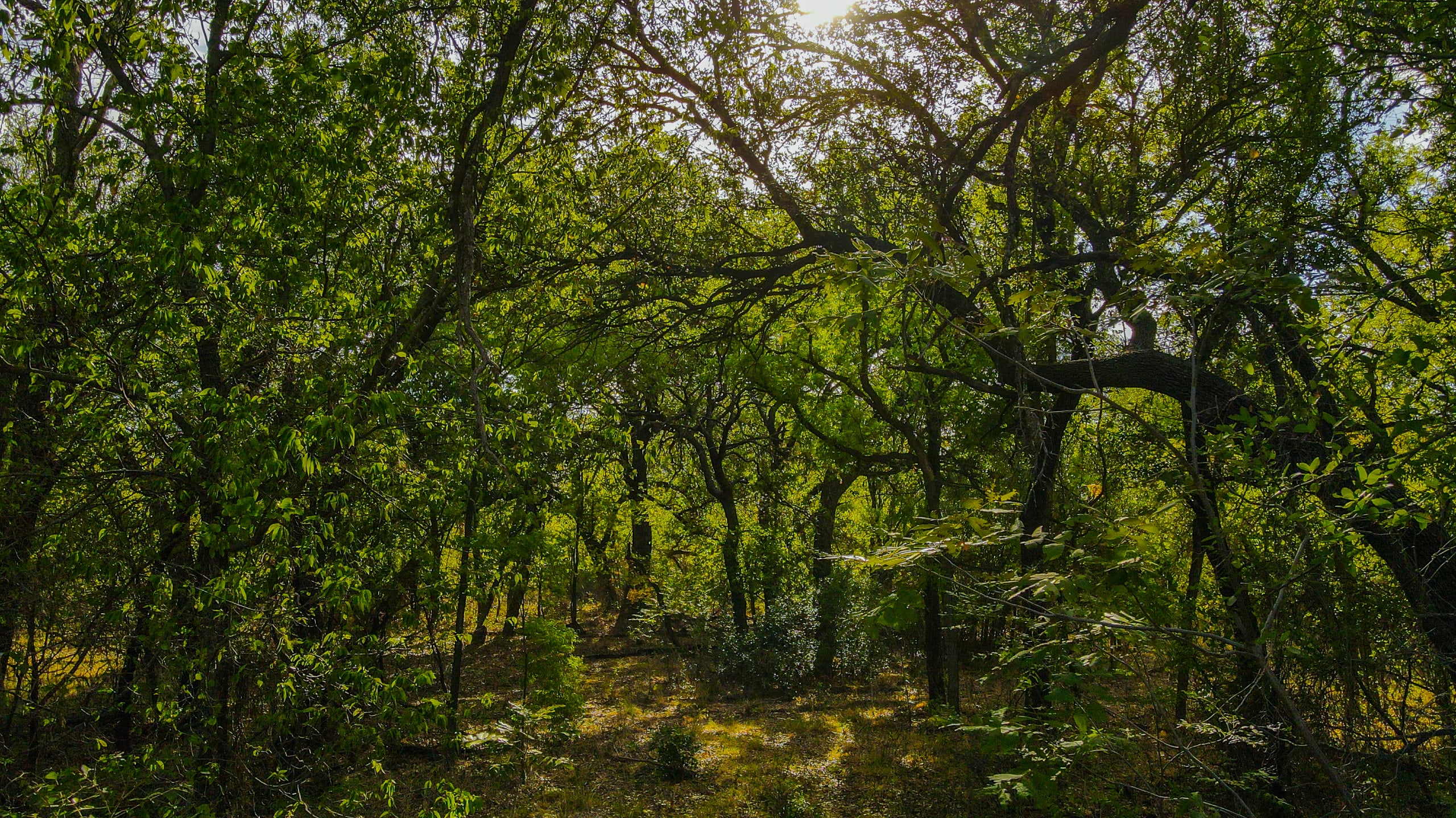 Land Company of Texas inception-app-prod/MDI2NmQyNDYtMTA0Ny00NGE4LTgzZTktMjU5ZTg1N2FmMTkw/content/2023/01/1fae3e6eb46214e099b498df585282753e0a4ab2.jpg