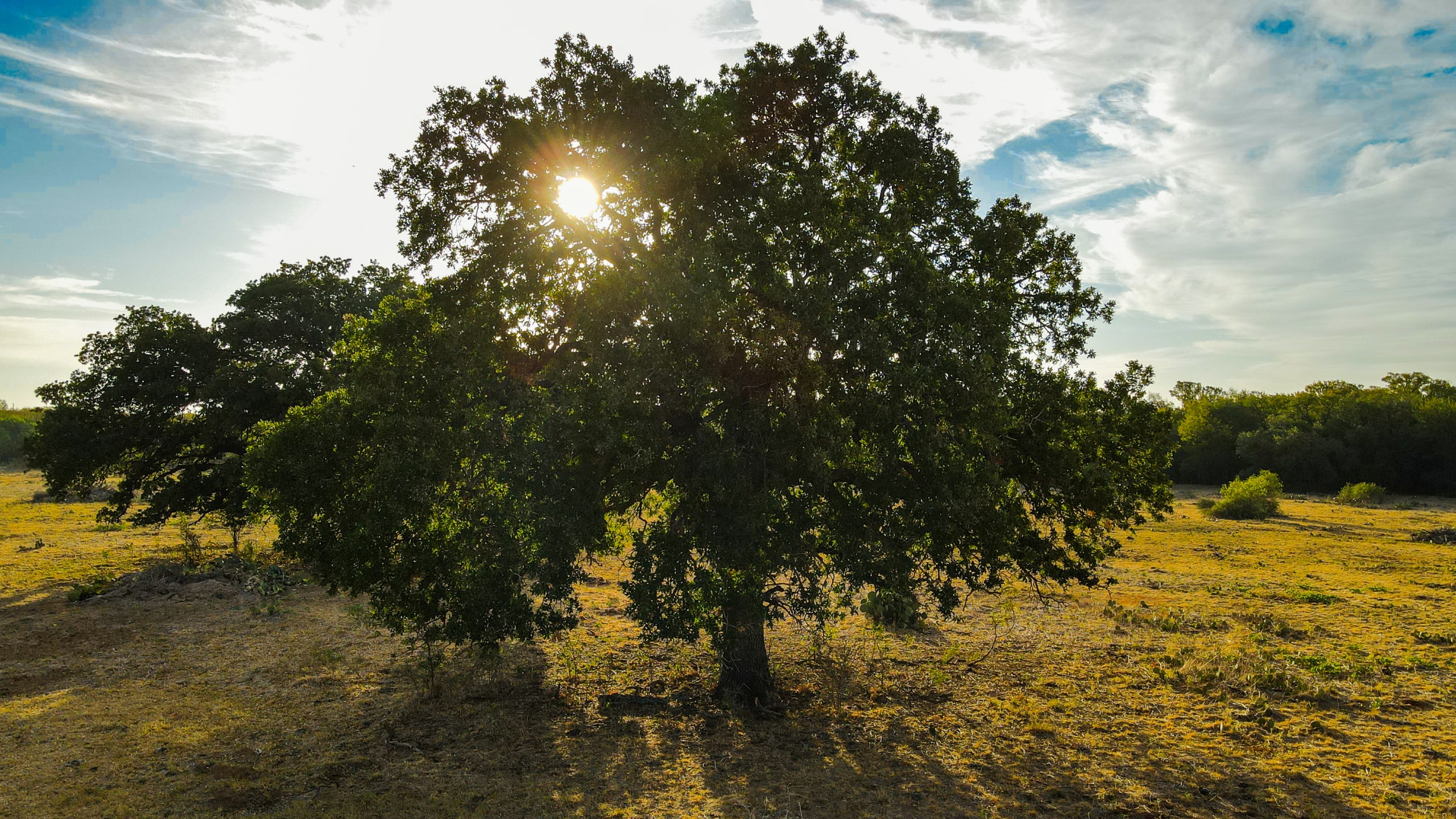 Land Company of Texas inception-app-prod/MDI2NmQyNDYtMTA0Ny00NGE4LTgzZTktMjU5ZTg1N2FmMTkw/content/2023/01/d42995b2fc45d908e8e9a8bca150c0339a26b5d5.jpg