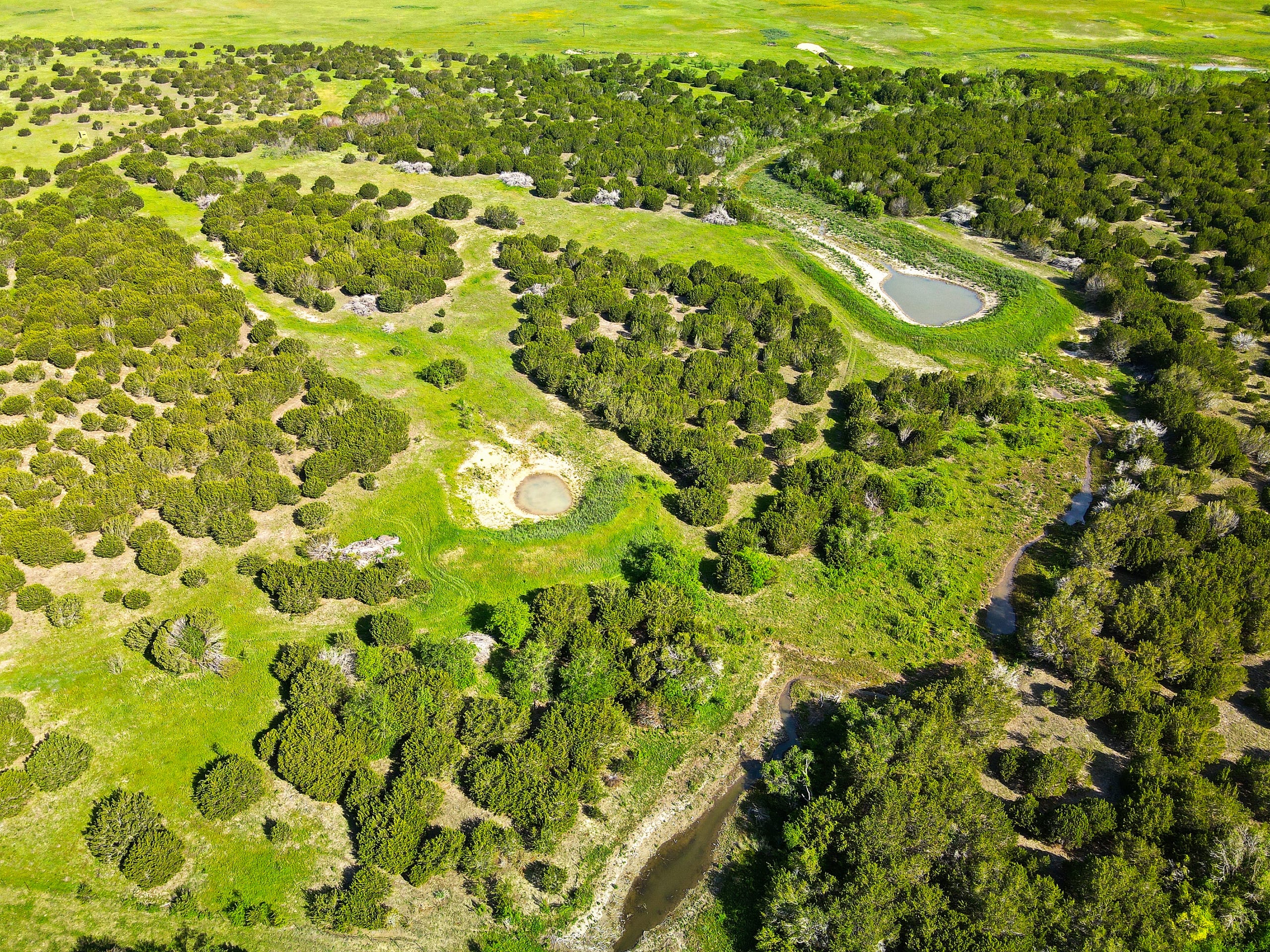 Land Company of Texas inception-app-prod/MDI2NmQyNDYtMTA0Ny00NGE4LTgzZTktMjU5ZTg1N2FmMTkw/content/2023/05/235e95bd66bc45470c54d0dc1c010743b789eb3b.jpg