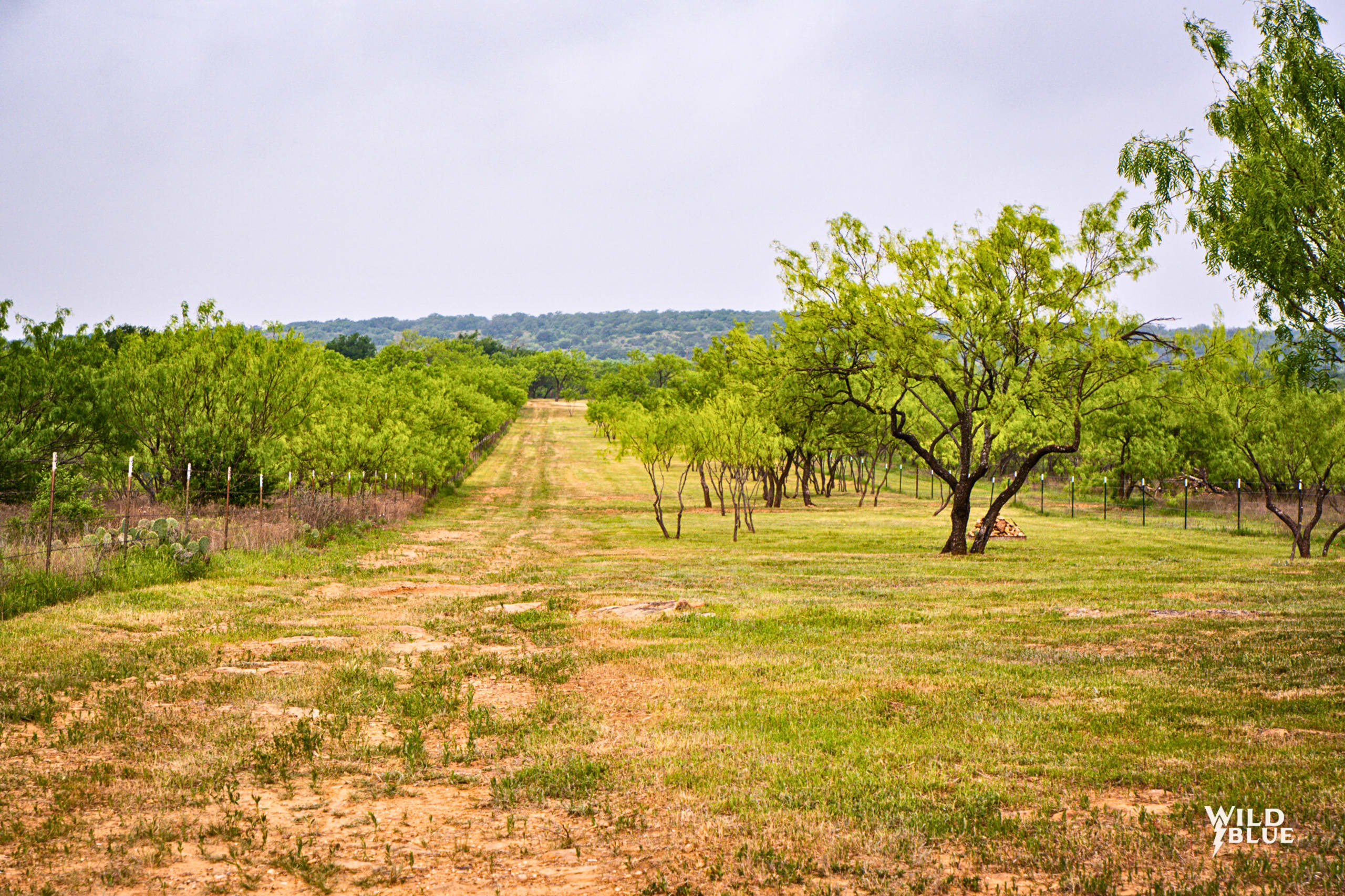 Land Company of Texas inception-app-prod/MDI2NmQyNDYtMTA0Ny00NGE4LTgzZTktMjU5ZTg1N2FmMTkw/content/2024/04/d6e7d41370048cf2e55664cb9794cb262855c8be.jpg
