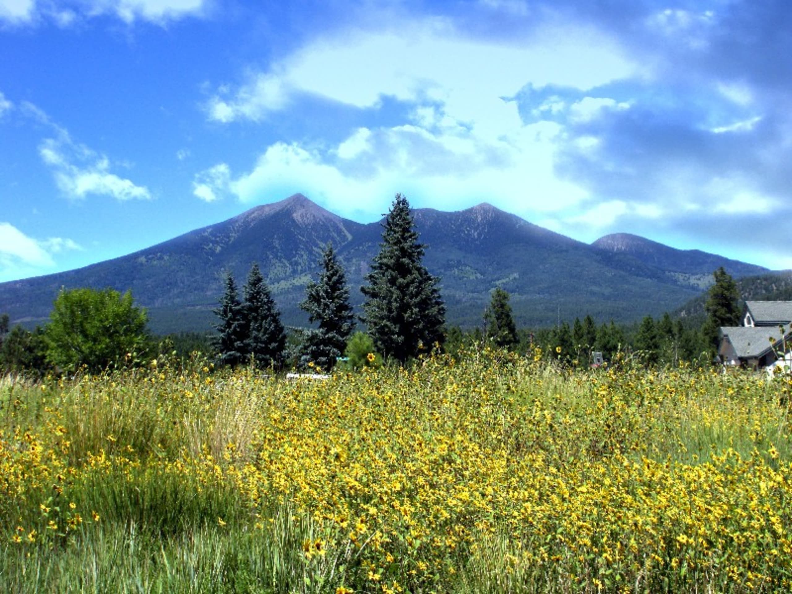 Valerie Core inception-app-prod/MDQxZmYwMGMtZjA1Mi00ZDZiLTgzNzktMzA3YjI5MjBkOTU2/content/2024/01/d81ca8f7b252103e81a6b72089a54d9558560e52.jpg