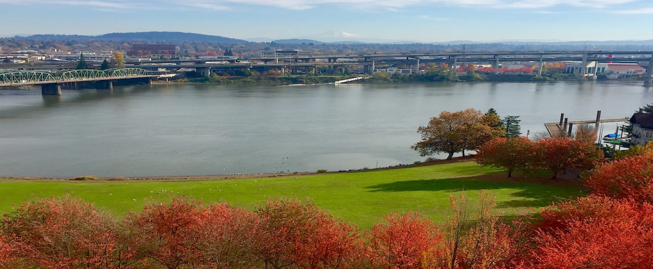 inception-app-prod/MWZkNzJmN2QtNmZmZi00Yjg1LTg3ZDMtNDAzZDg4NzEyNzA3/favicon/2021/07/Autum pic-3.jpeg