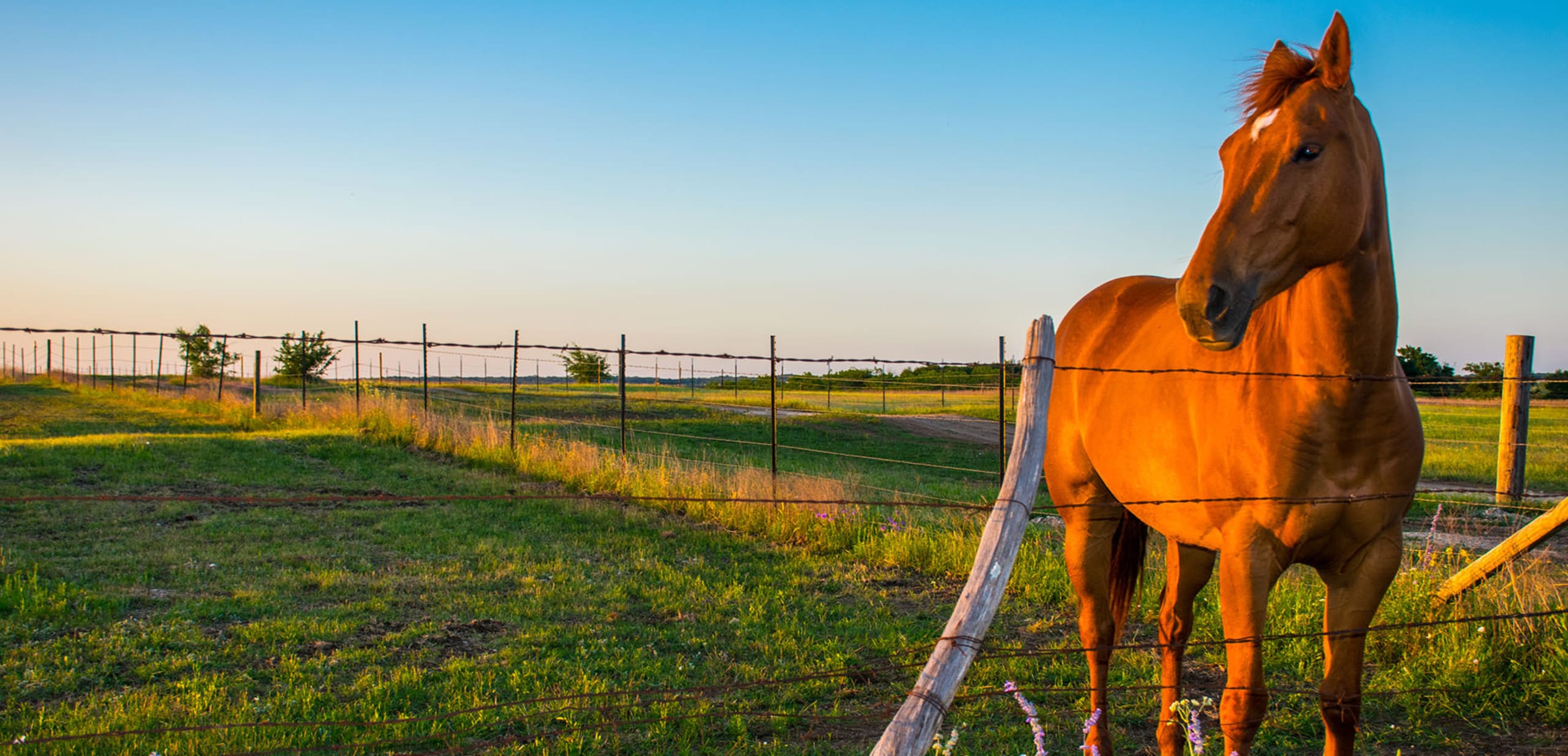 Premier Hill Country Properties inception-app-prod/MjBjNWMxZGItMDRiOS00MmUyLWIwZTItYzZlZTE3ODg4Nzg0/content/2021/02/shutterstock722521102-2.jpg