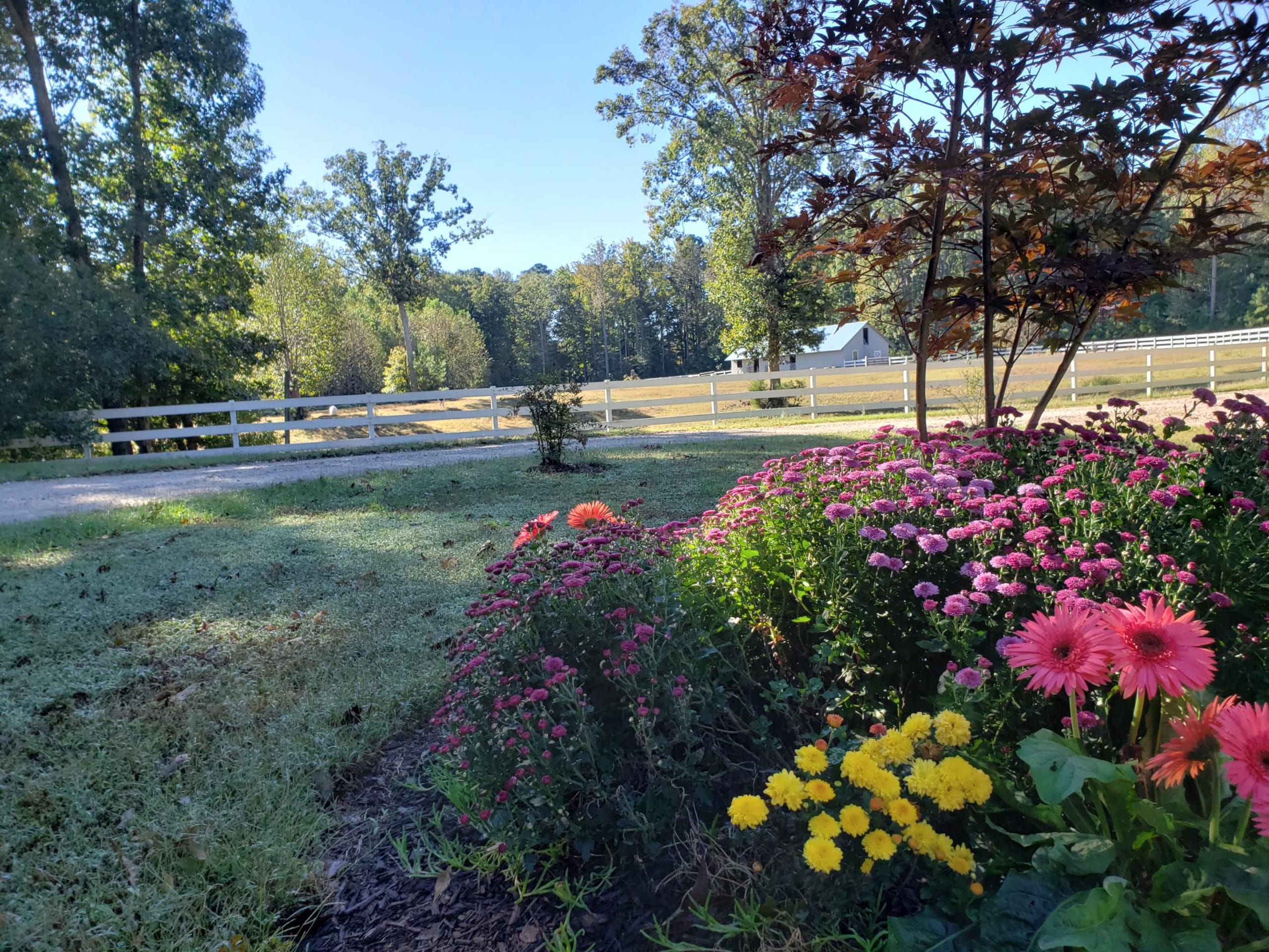 inception-app-prod/NDg3YWE4MGItZWQ0Yy00YWZkLTk1MzQtNmZhYTI0NWIxNTI4/favicon/2018/11/front yard-2.jpg