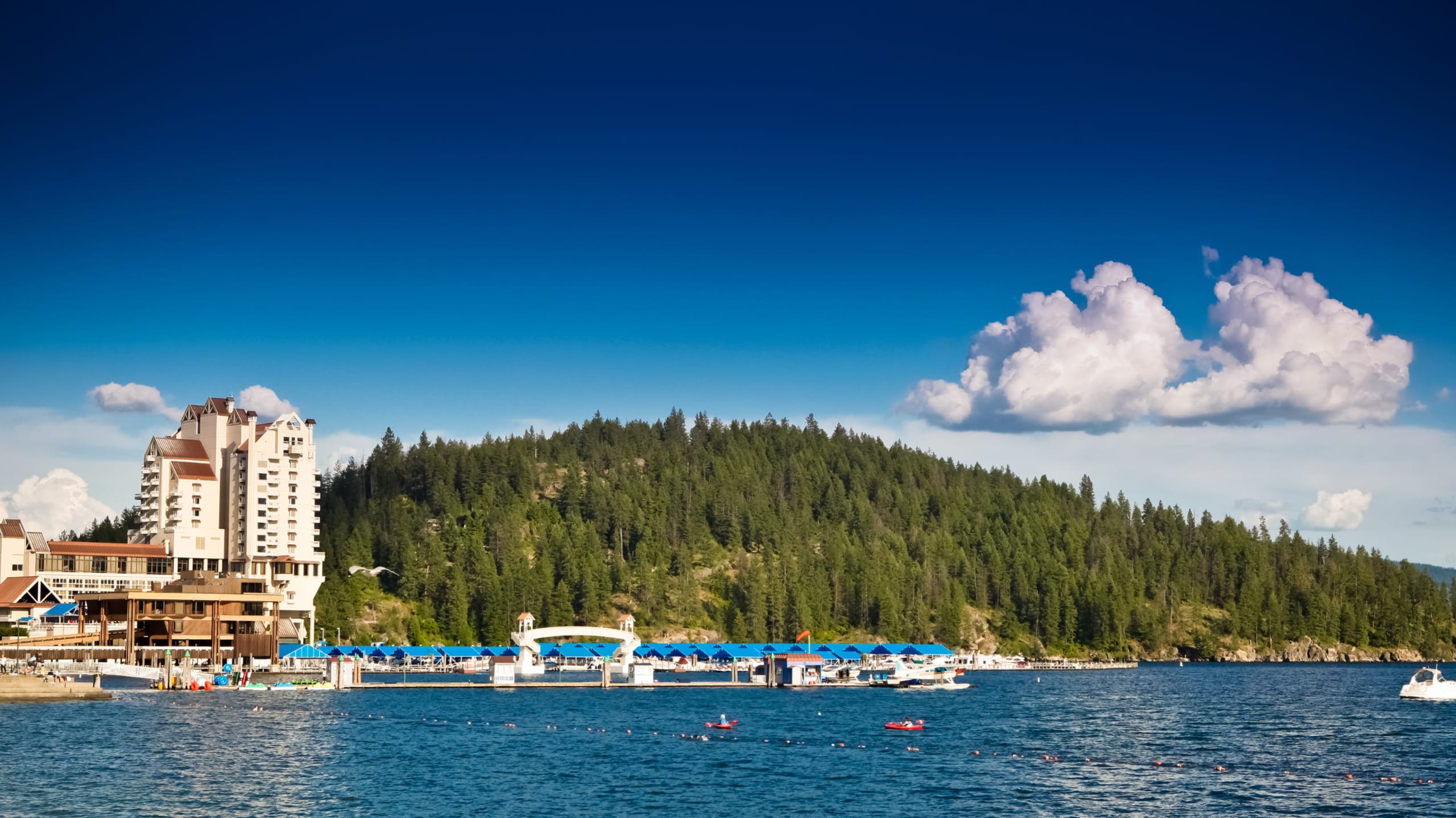 waterfrontkw.com inception-app-prod/NGFkNTQwMmQtNTQ3Mi00OWI4LWI5N2ItZjQ3NTUxMWNkODZj/content/2023/12/1e41ecd1d57ecf245089ae5a8832f6450bc0c134.png