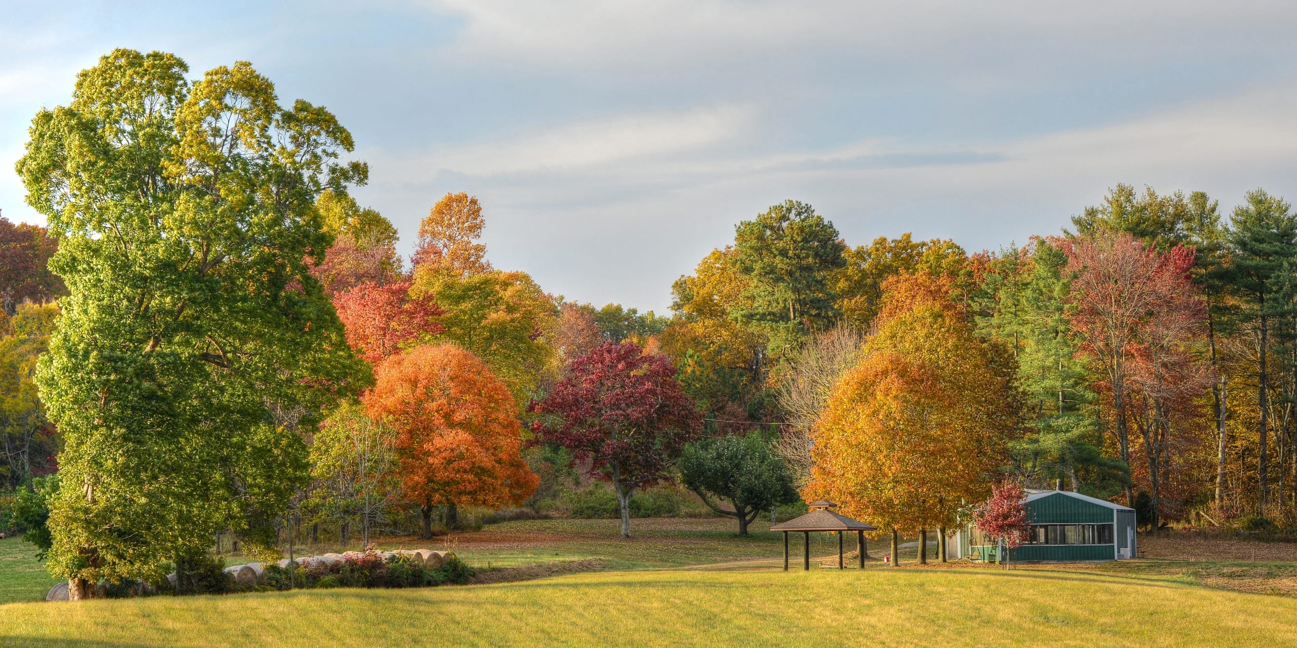 Full Canopy Real Estate | Shelbyville, Indiana inception-app-prod/NGNkZjg2OTYtNzc4ZS00MWJmLWI3NTUtOWYxZjc2Y2JmOTVm/content/2024/12/b49b6cf7f6badf94adced93476a5815ea2133404.jpg