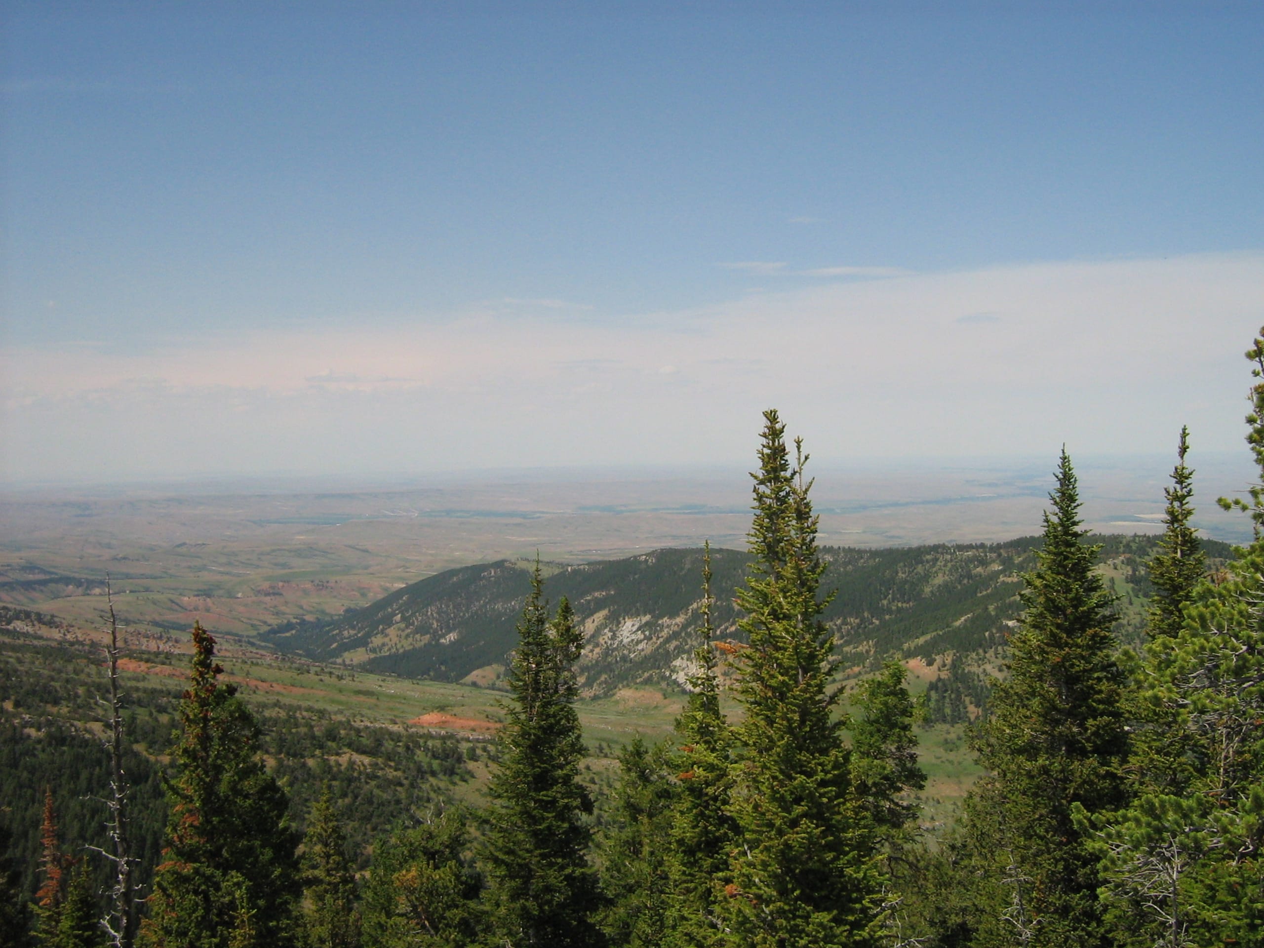 inception-app-prod/NTAwOWY5NjgtMzIzOS00YmVjLTkwMWEtMDhjNDBjYzM4NmQy/favicon/2017/01/Hunting & Recreation Properties.jpg