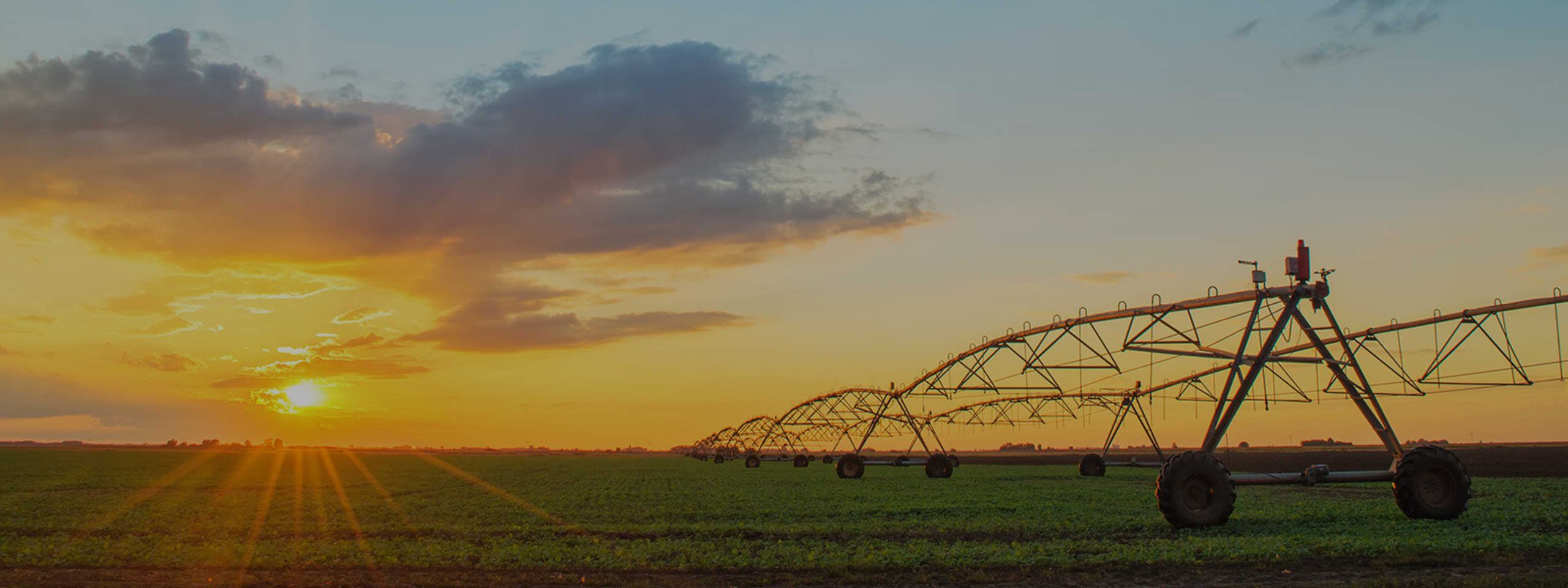 inception-app-prod/NTAwOWY5NjgtMzIzOS00YmVjLTkwMWEtMDhjNDBjYzM4NmQy/favicon/2017/01/Irrigated Farms.jpg