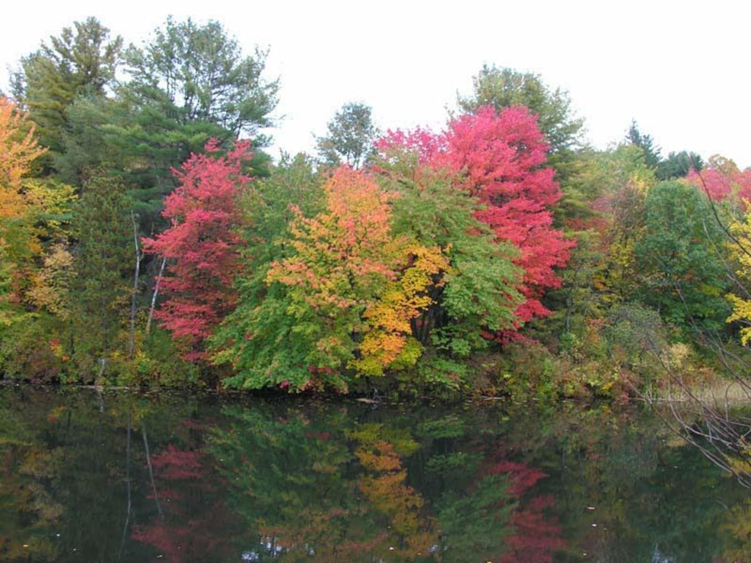 inception-app-prod/NTg3YmYyOTItYzE1ZS00YWQyLTg2OTMtY2RhMDU1ZDBhMGNm/favicon/2019/01/fall-foliage.jpg