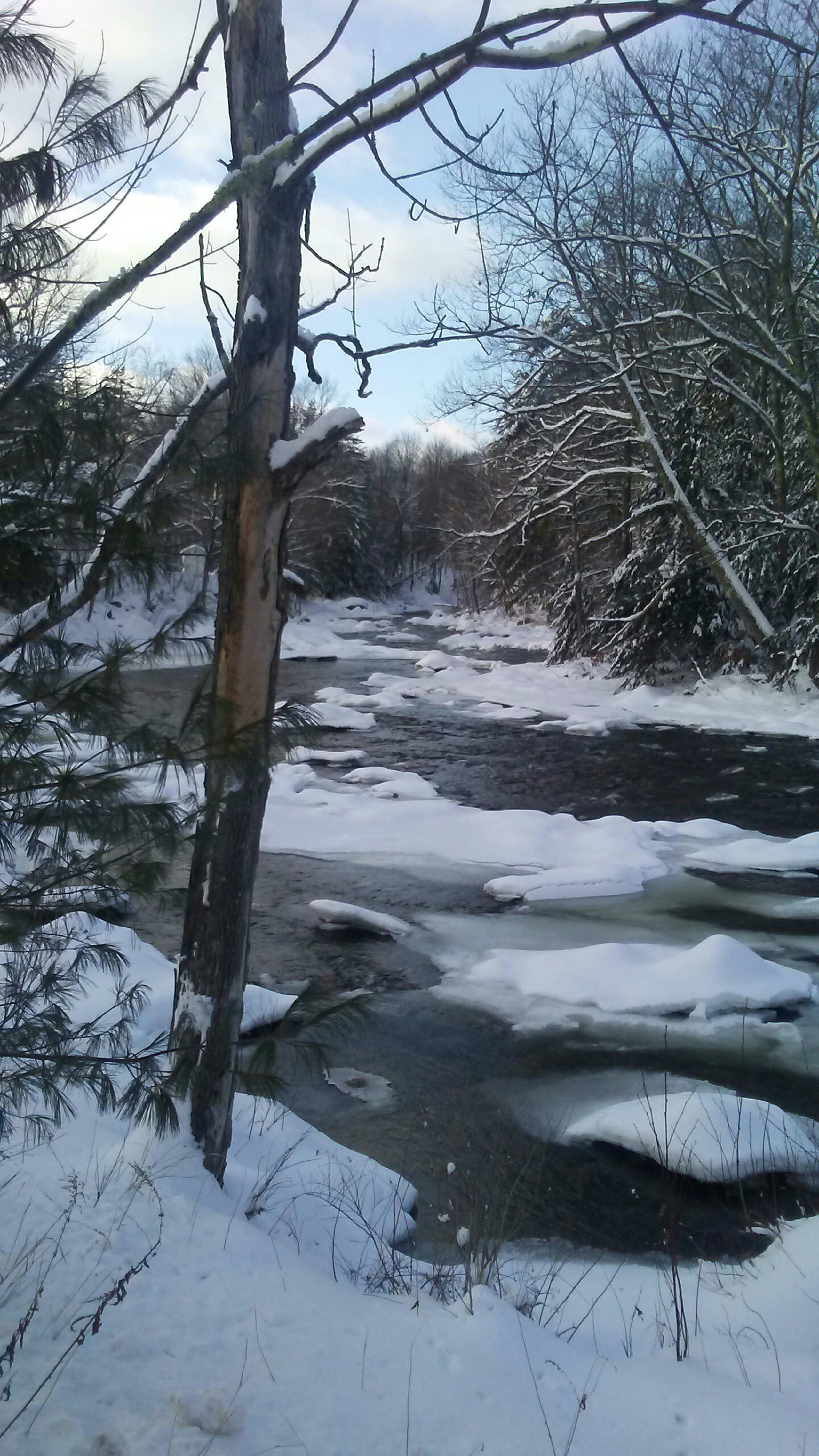 inception-app-prod/NTg3YmYyOTItYzE1ZS00YWQyLTg2OTMtY2RhMDU1ZDBhMGNm/favicon/2019/01/winter pic.jpg