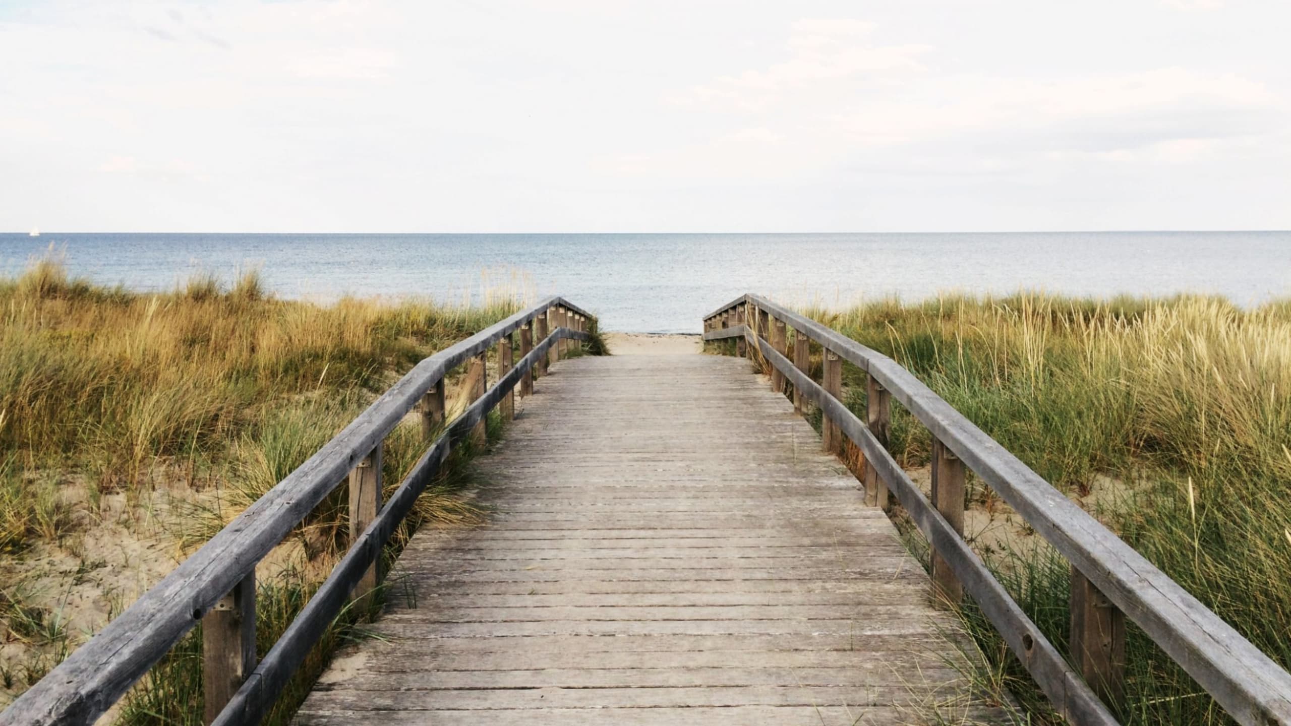 inception-app-prod/OGUwMjJmNzItMjI1MC00MGM3LWEwNjYtYmI1YmYwZTM2NjAy/favicon/2019/07/BEST CHARLESTON SC REALTOR.jpg