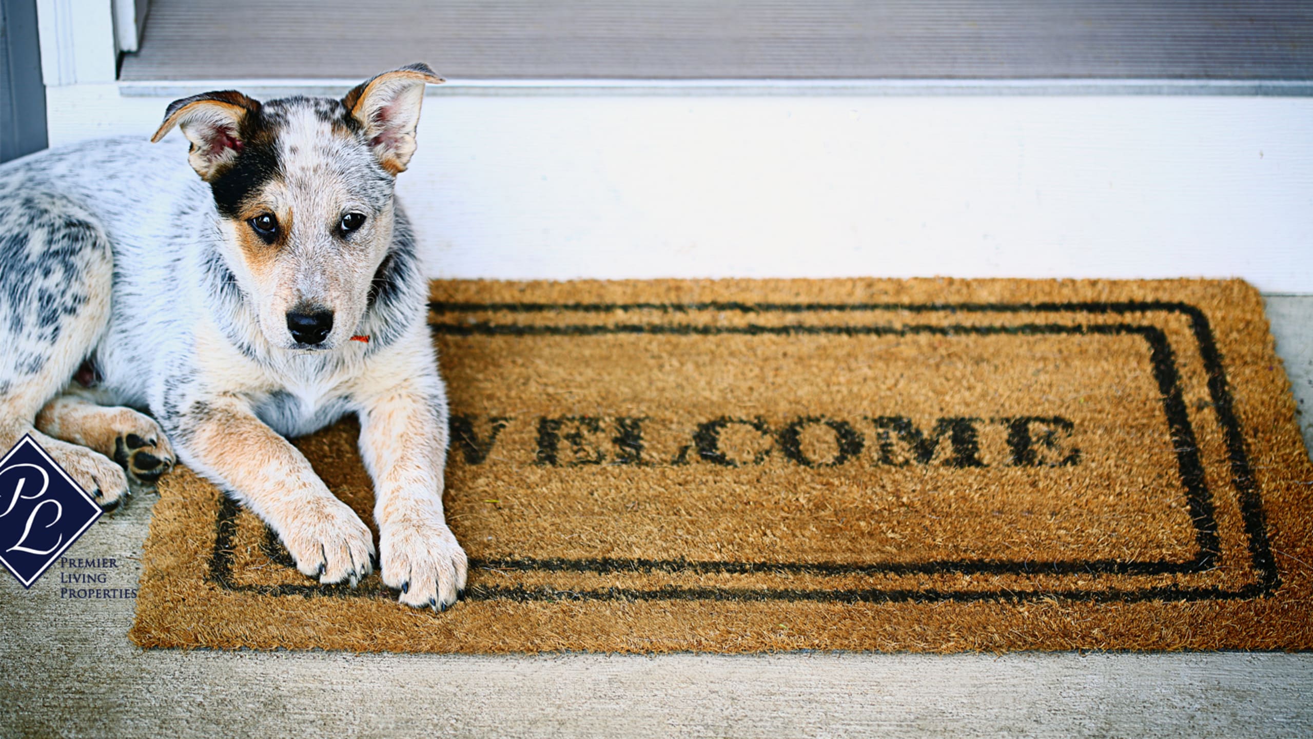 inception-app-prod/YjBmMGMxYmMtNGNhNi00ZDg5LWI4NDktYTdkZWM3YjVkN2Nm/favicon/2019/04/DOG WELCOME.jpg