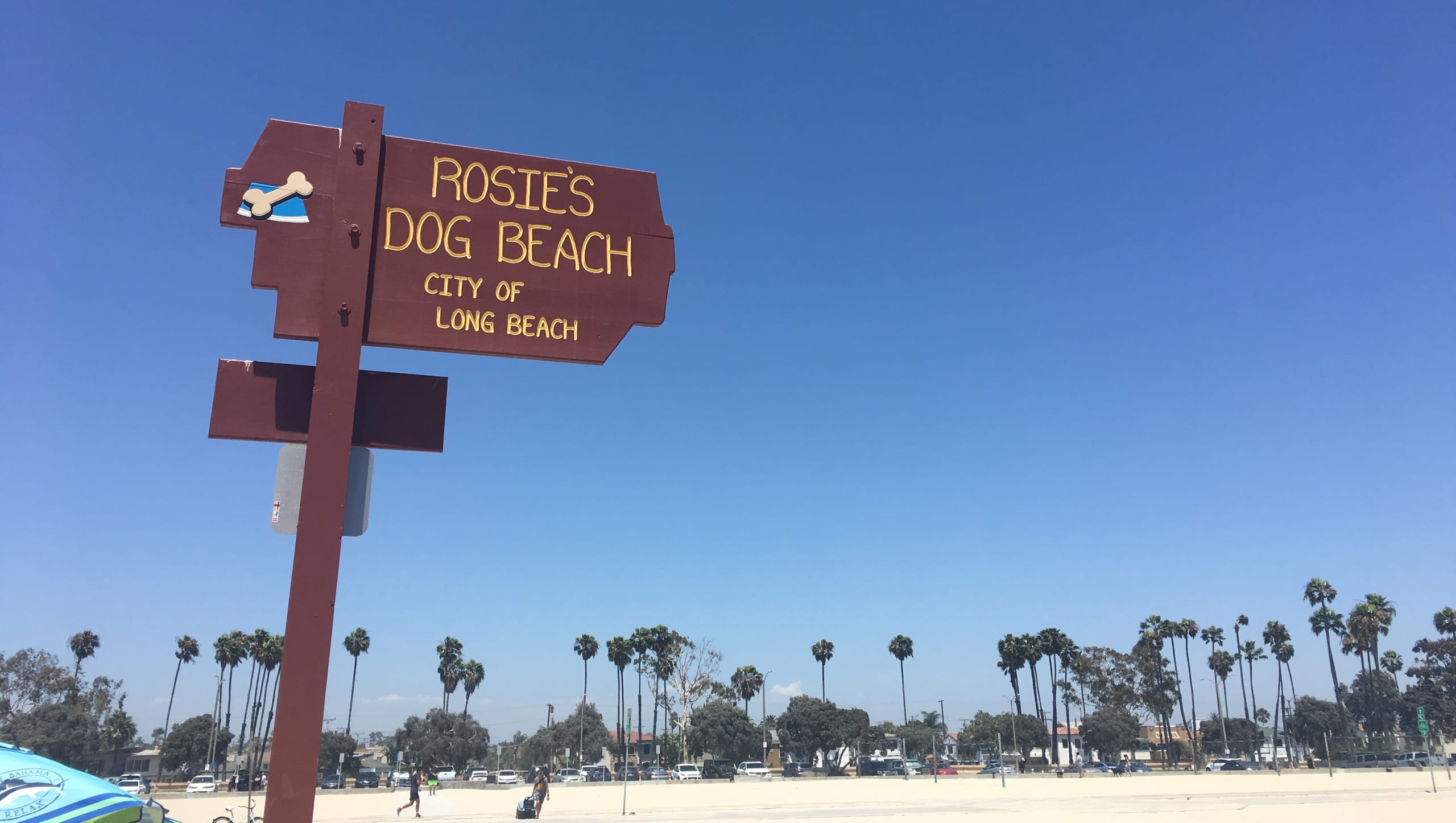 Kelly Finds Homes inception-app-prod/YjM0ZWMxNWQtOTY0Ni00MjE5LWIzYzctMmNhM2MzZGI1NTY5/content/2020/08/img6363.jpg