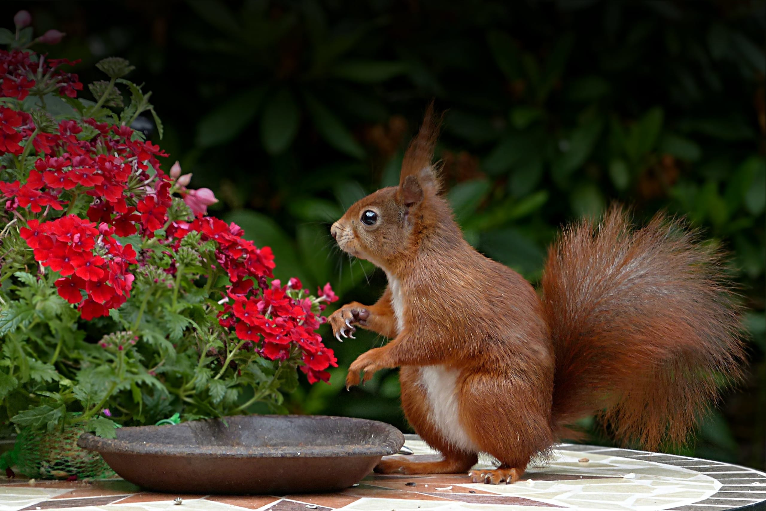 inception-app-prod/YzYxYWQwNGQtOGI0MC00YjRmLWIxNmUtYjQ0MjFlZjAwZmY5/favicon/2018/02/highland 1-3.jpg