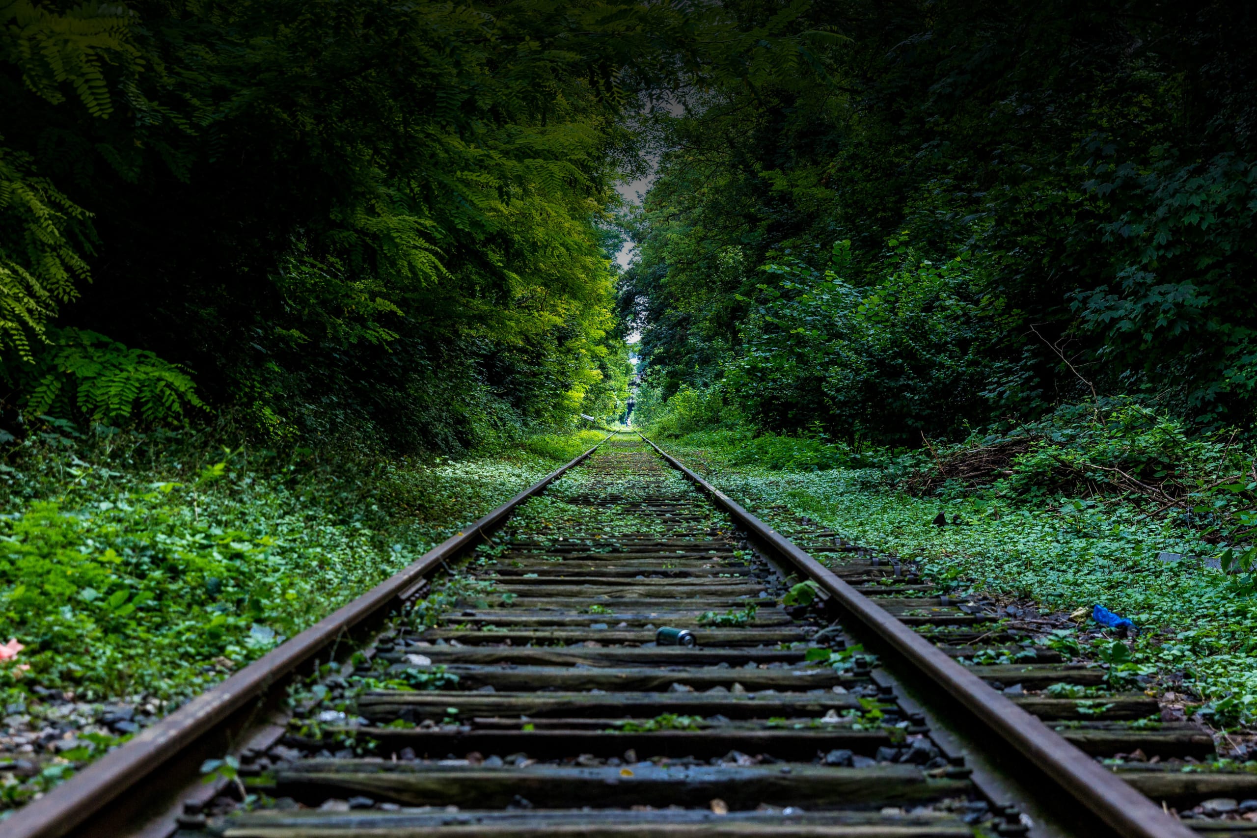 inception-app-prod/YzYxYWQwNGQtOGI0MC00YjRmLWIxNmUtYjQ0MjFlZjAwZmY5/favicon/2018/02/highland 3-2.jpg