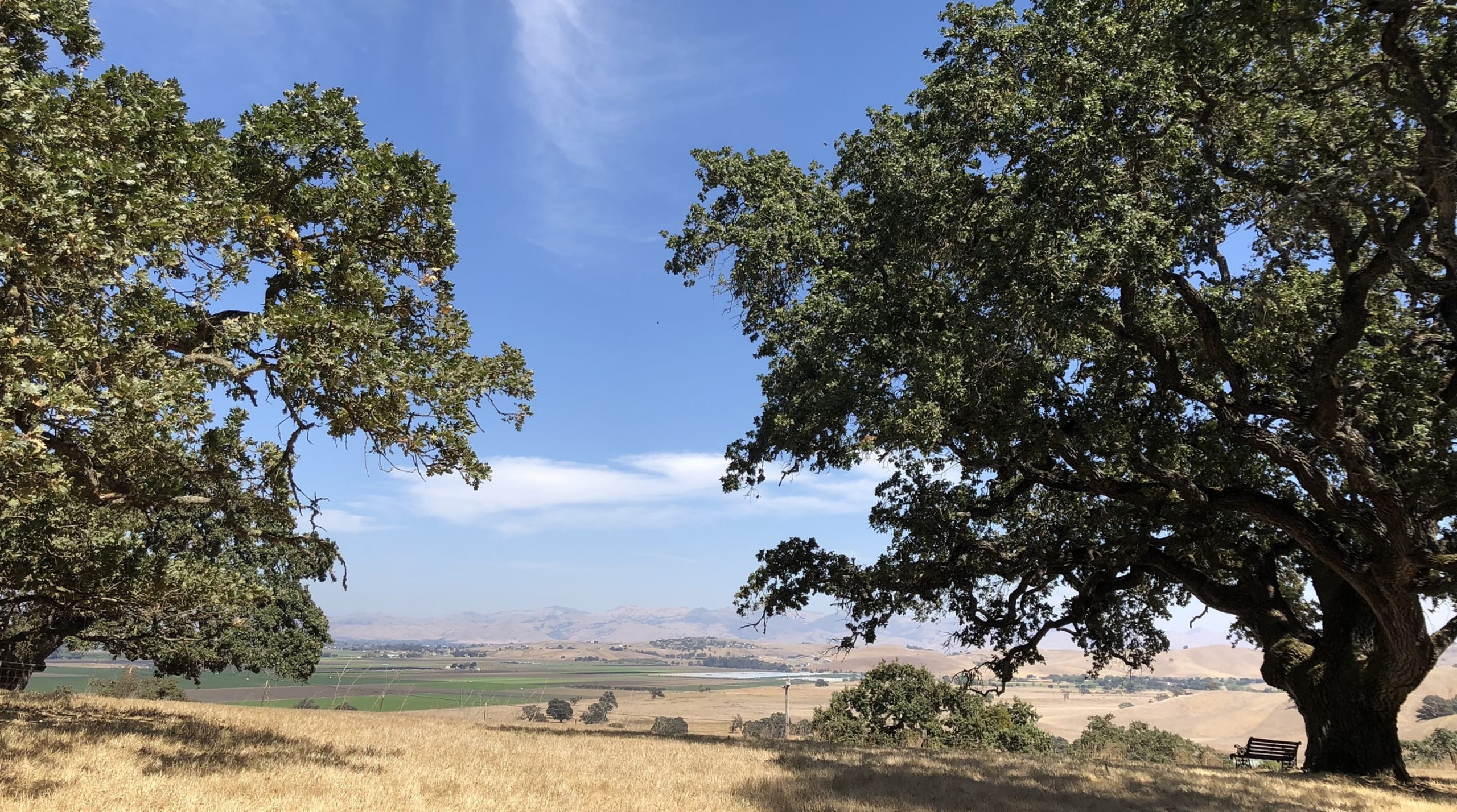 inception-app-prod/ZWIwNjIyYTktNDEyMi00NWIzLTlmNTItZDkzYTkzMDBhOWQz/favicon/2019/03/Open Spaces1920x1080-2.jpg