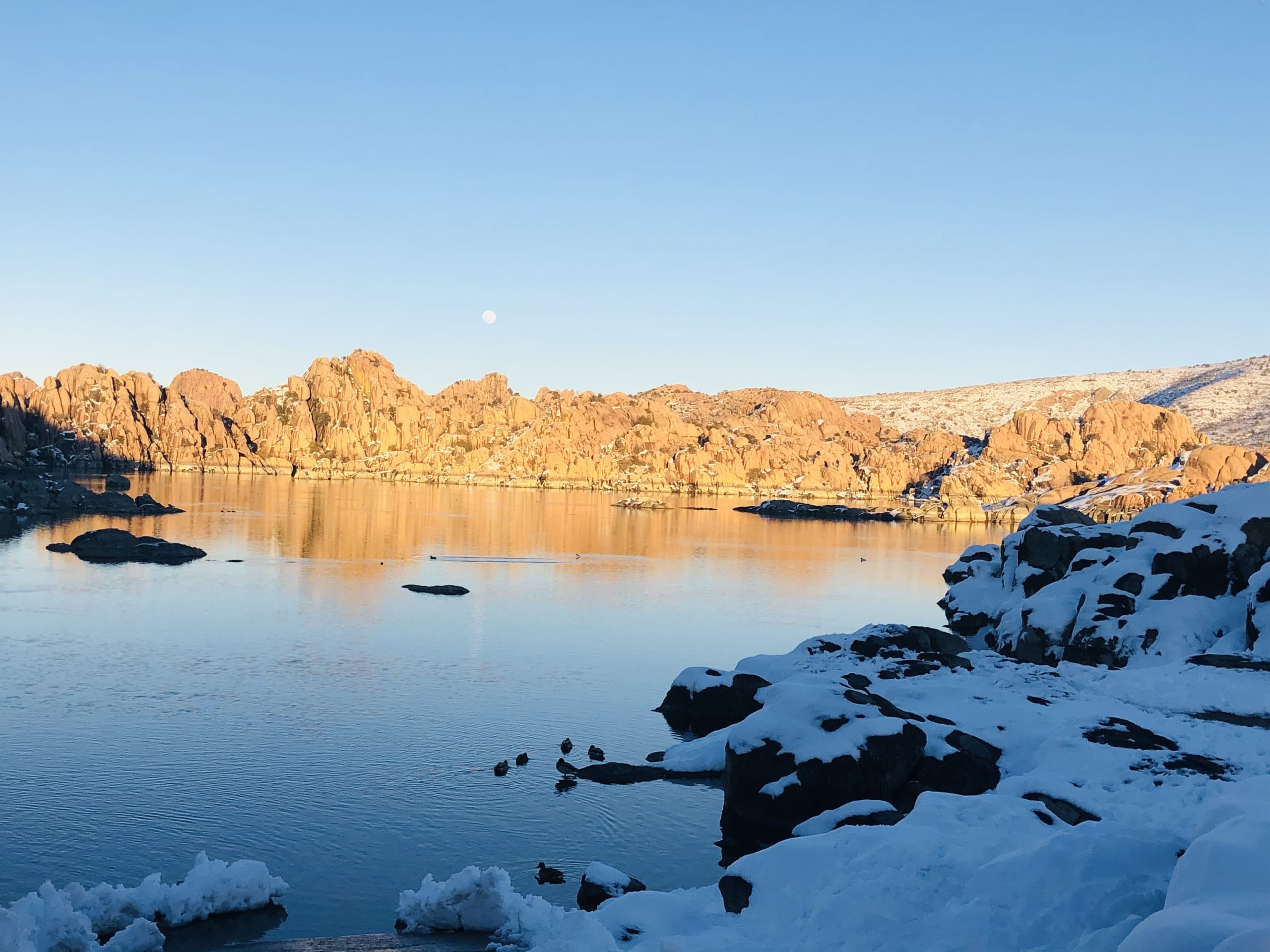 Paige McCargar inception-app-prod/ZjBiNTA1YTMtZjdhMS00OTc1LThmYjctYTE0ZmE5ZDJmYmE0/content/2023/05/56e2a1eb6c1aa3a13be4b3c0037c4e74721094df.jpeg