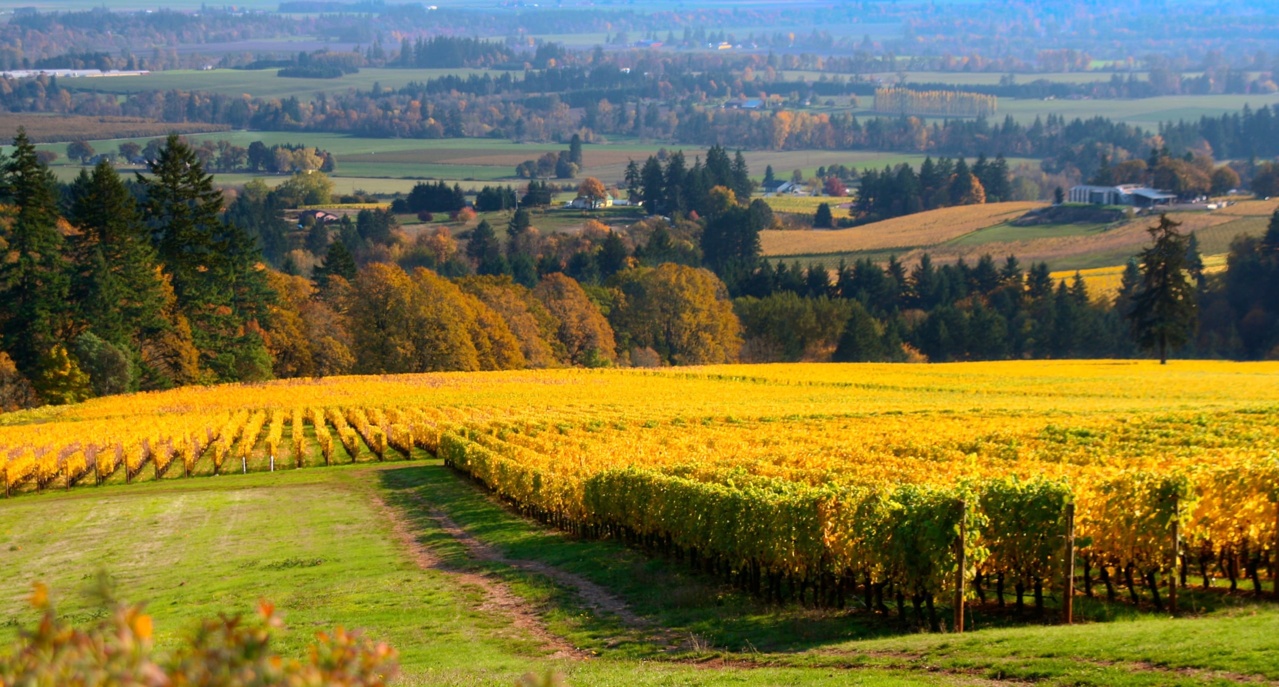 AGRIBUSINESS REAL ESTATE SERVICES Because Agriculture is Life