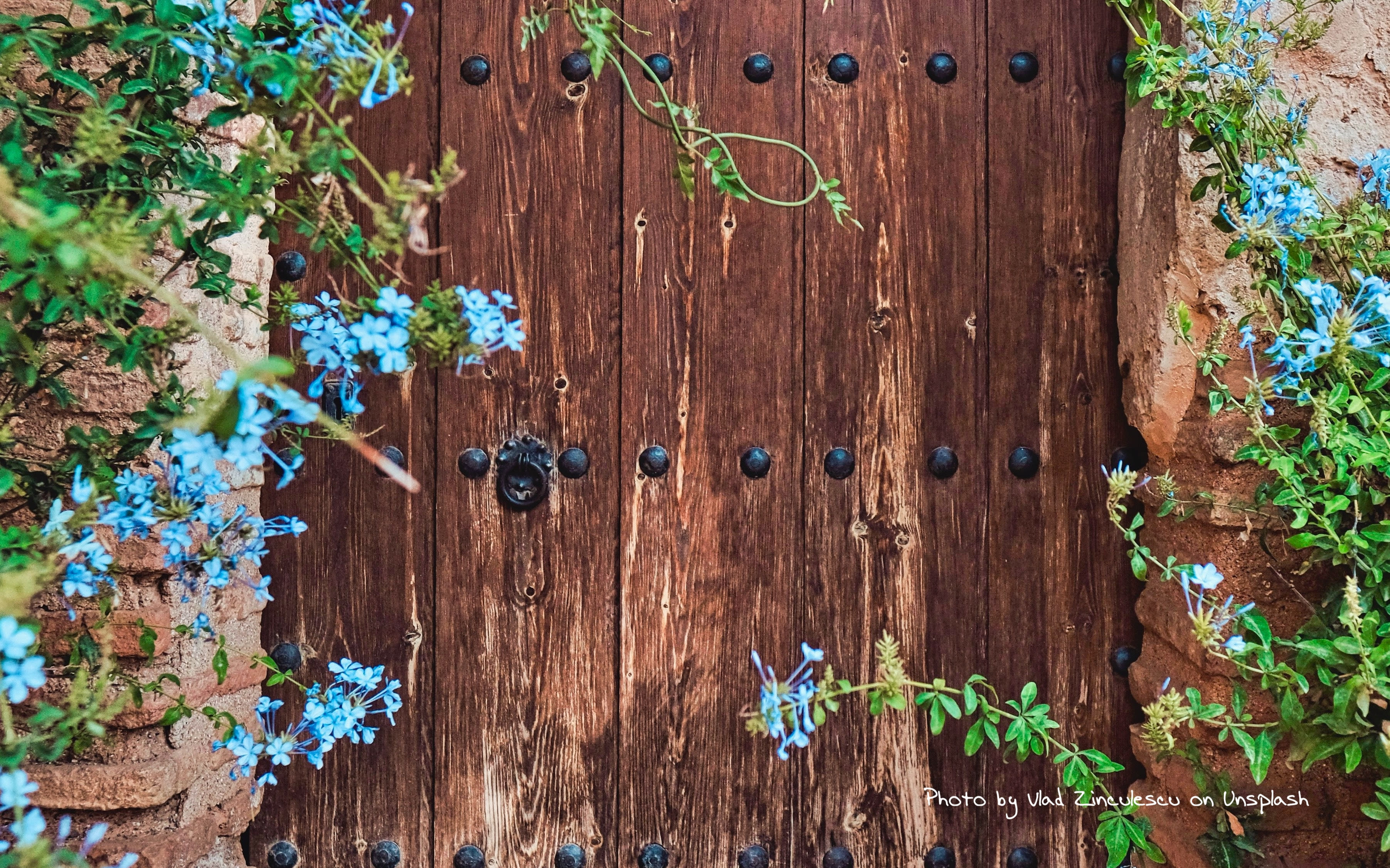 GATES inception-app-prod/M2M5Y2M0ODMtM2YxZC00NzY1LThmY2YtNzhhNjhhOTgwYmFj/content/2020/11/vlad-zinculescu-qucjcxgzrse-unsplashcopy.jpg