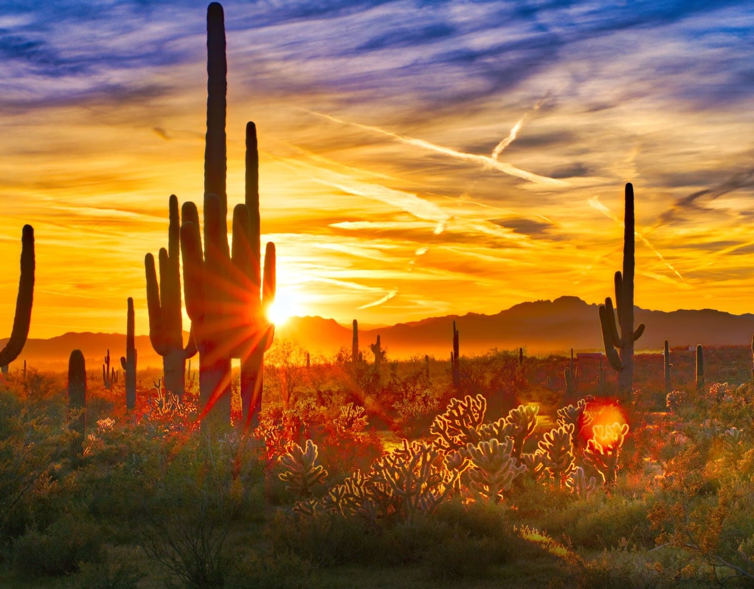 Linda Robertson inception-app-prod/MTQ2NTg5NDAtNTU1MS00MzczLTk0ZTktOTNmOTM1ZmZmNjcw/content/2024/01/dc3e2fbd8e74d0618a694f141c4e4f71137c3755.jpg