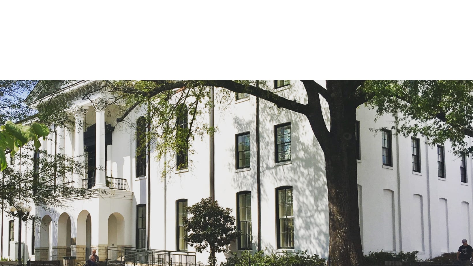 Rexanne Collins, Oxford MS Real Estate Agent Oxford MS Real Estate