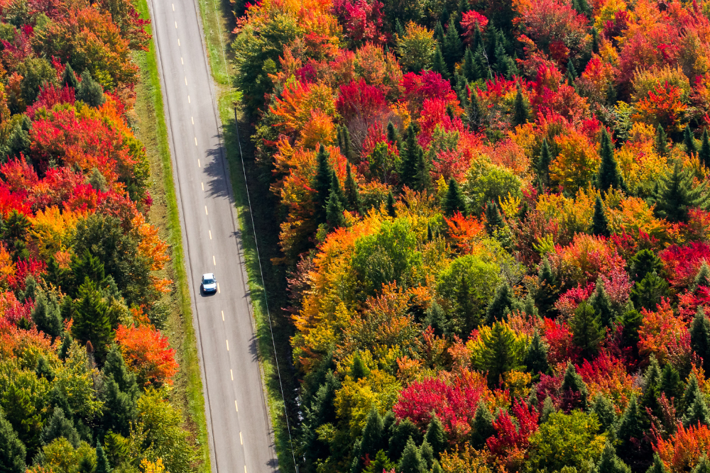 Off-the-Beaten-Path-Southern-Escapes Off-the-Beaten-Path Southern Escapes