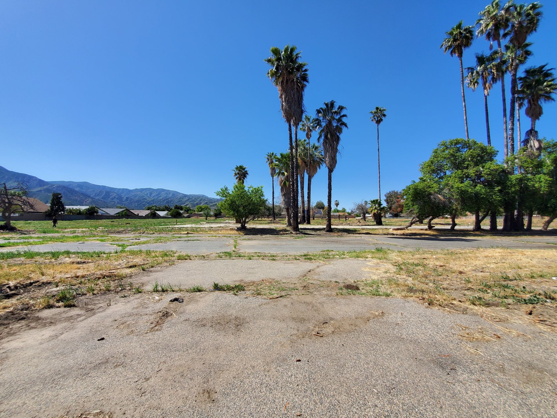 32281 Riverside Dr - Vacant Land 32281 Riverside Dr - Vacant Land