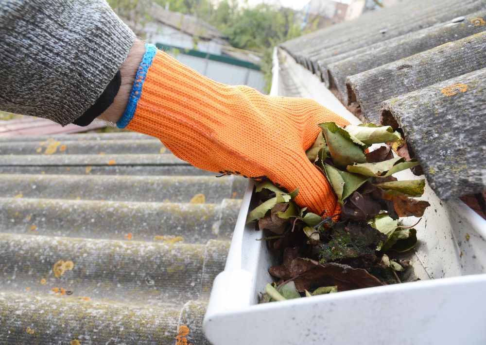 cleaning-the-gutter-before-winter cleaning the gutter before winter