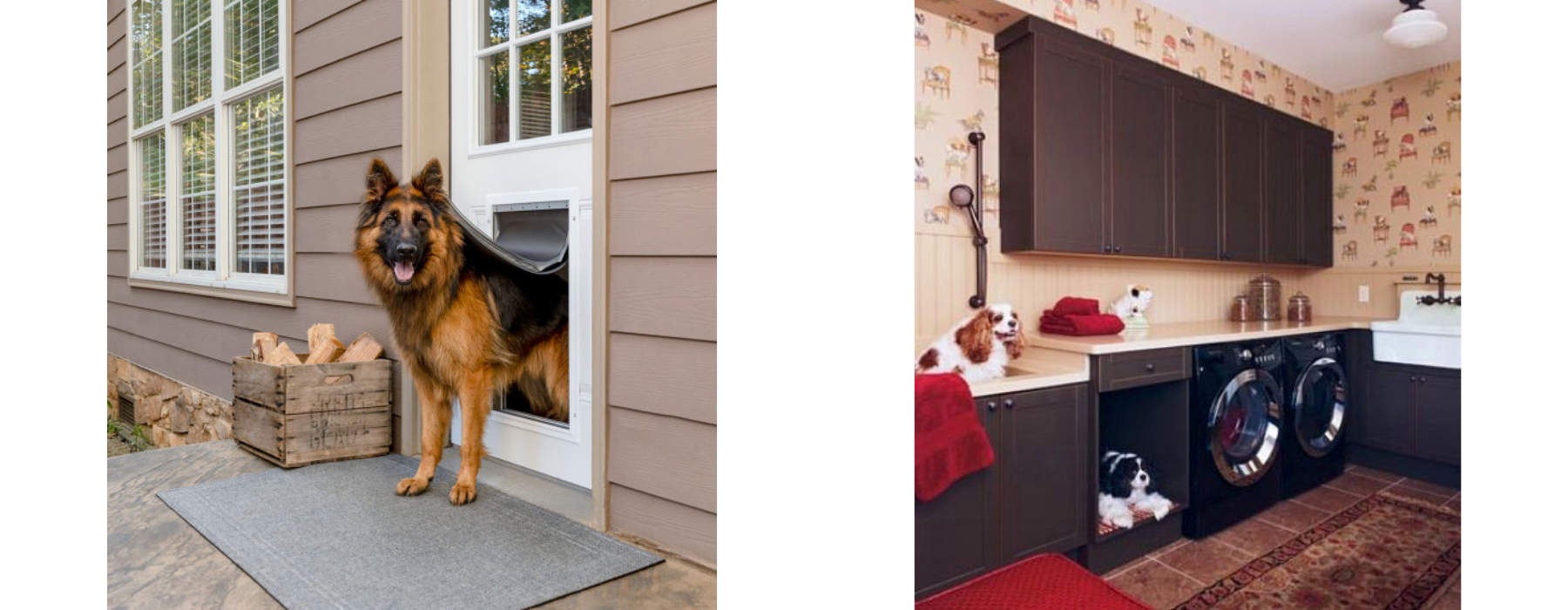 Pet-Friendly Home Features