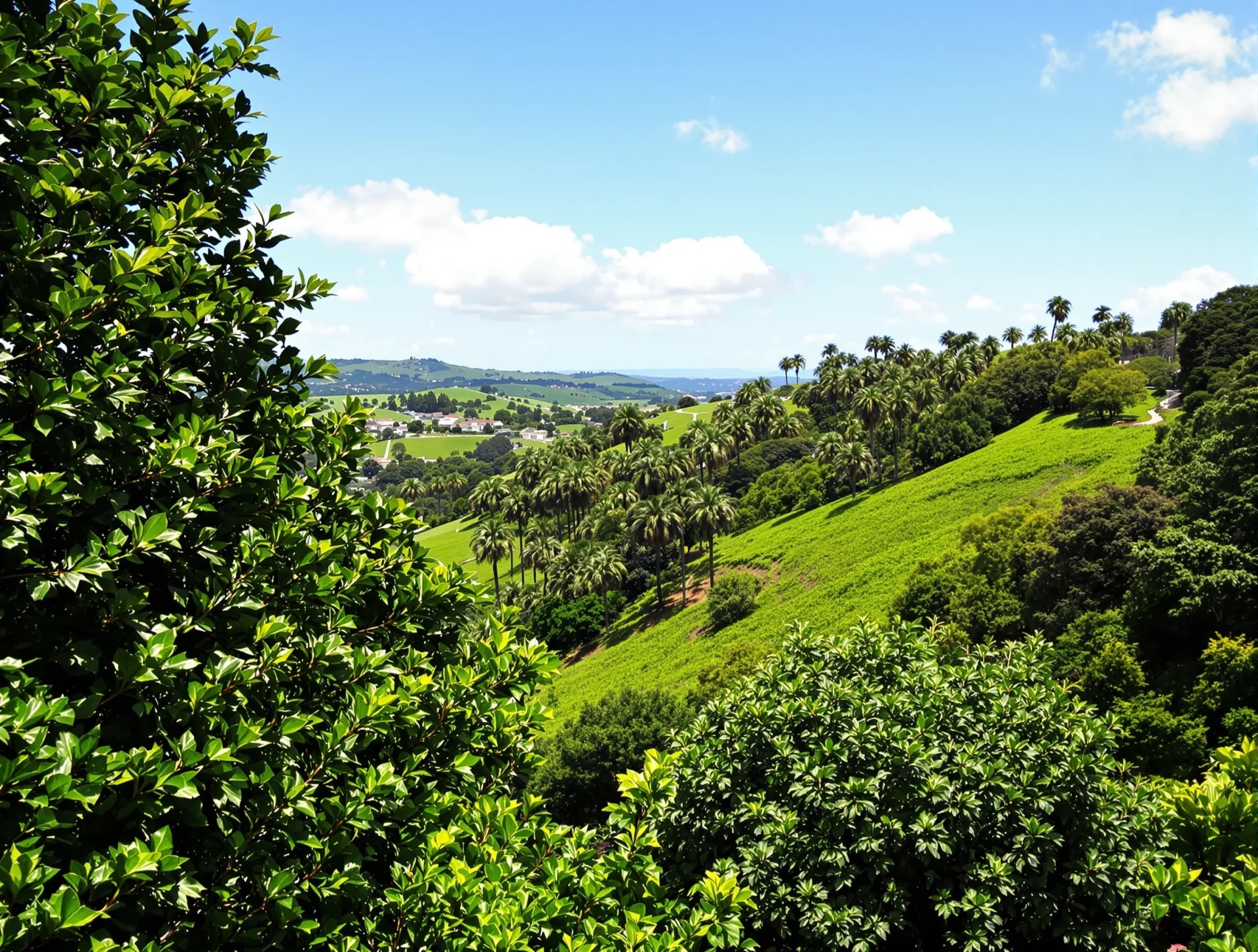 Beverly Hills landscape