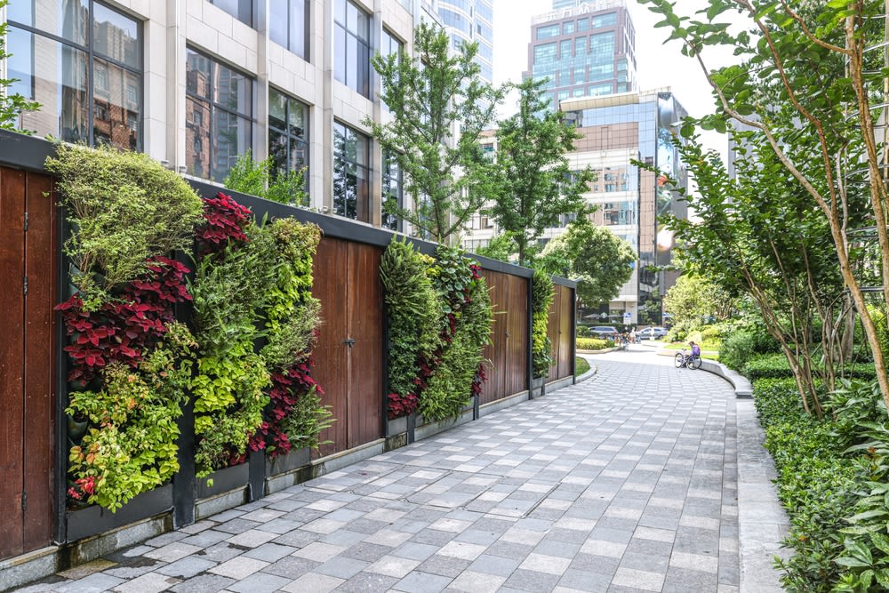 Creating Vertical Gardens Creating Vertical Gardens