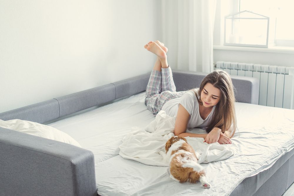 woman-and-dog-on-a-sofa-bed woman and dog on a sofa bed