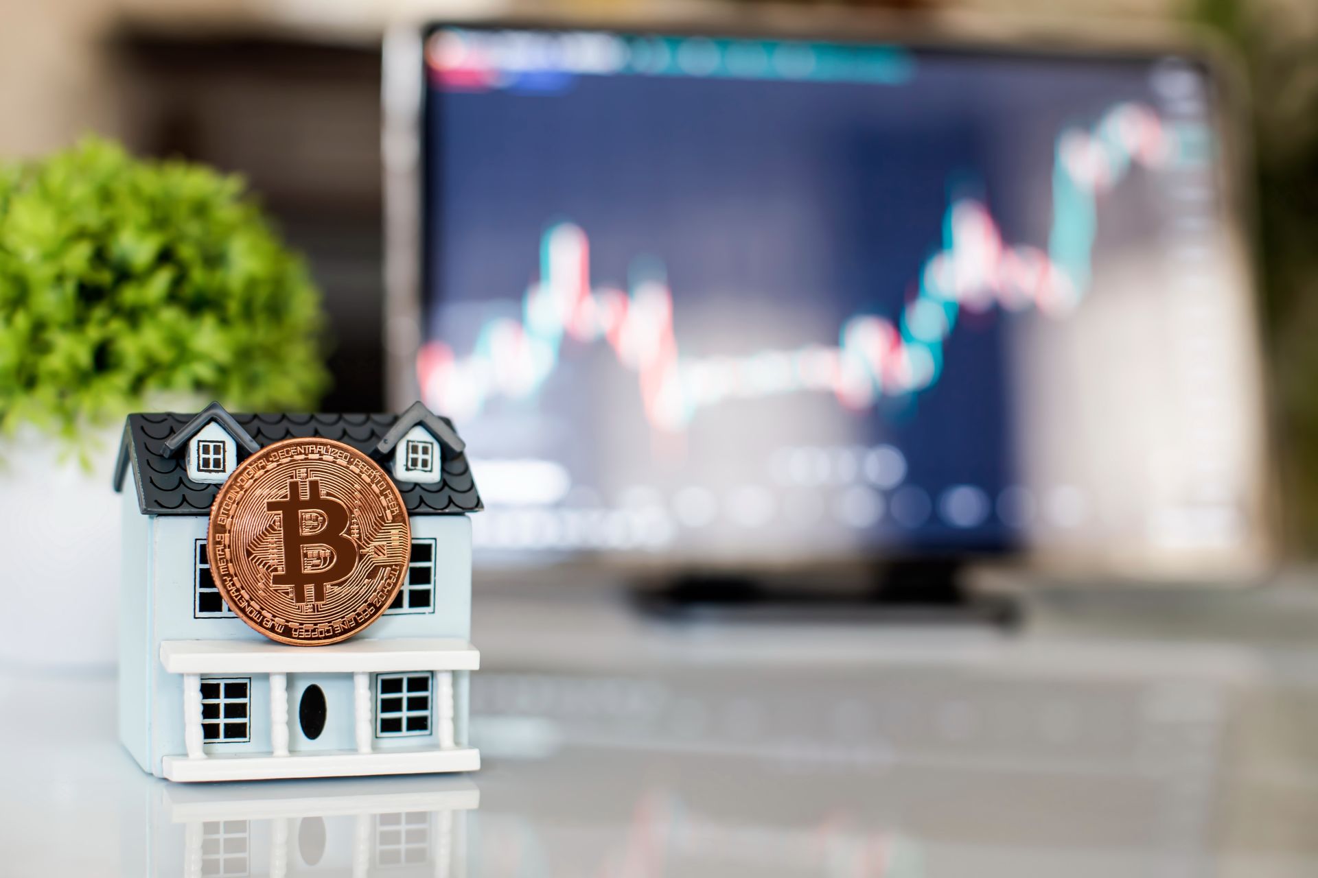 house-with-coin-and-graph-background house with coin and graph background