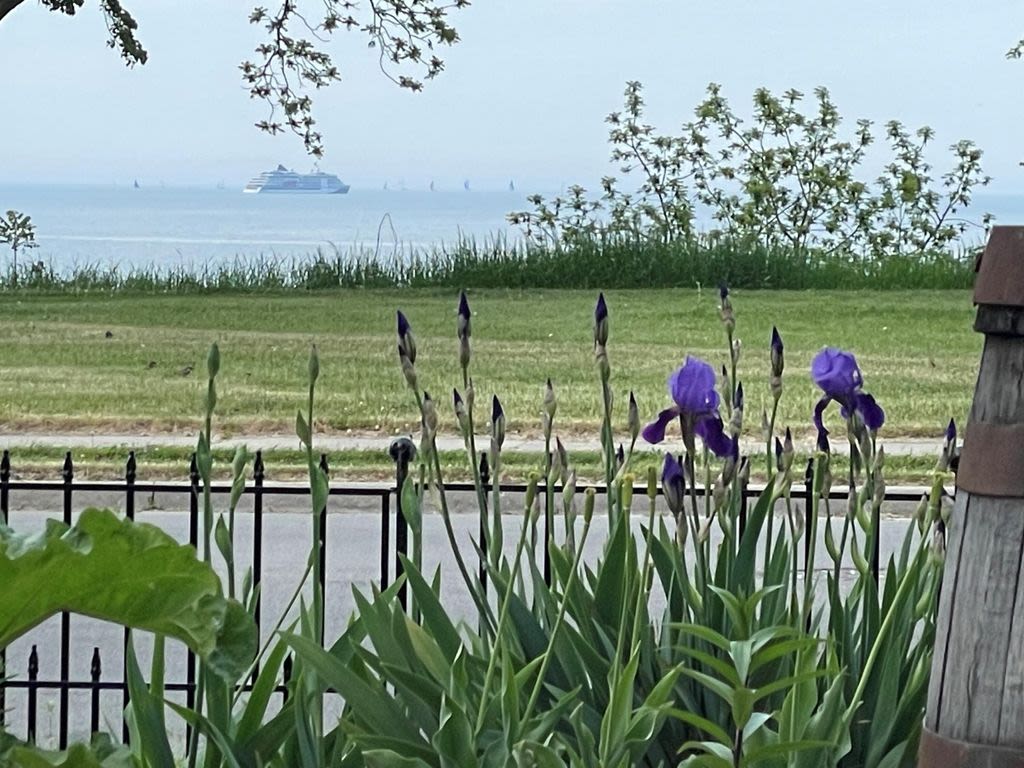 Lake View